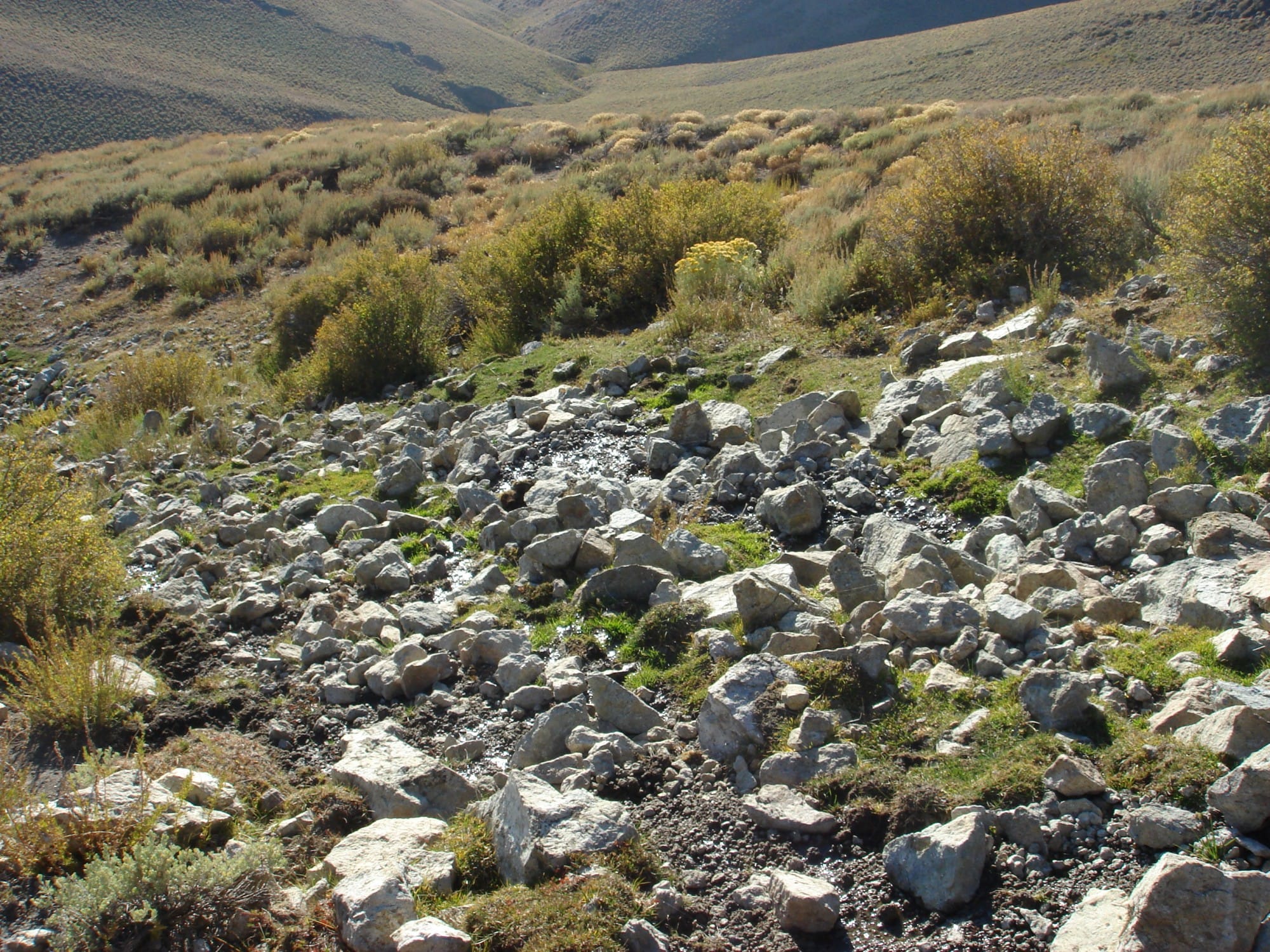 Humboldt County Tract 15 photo 11