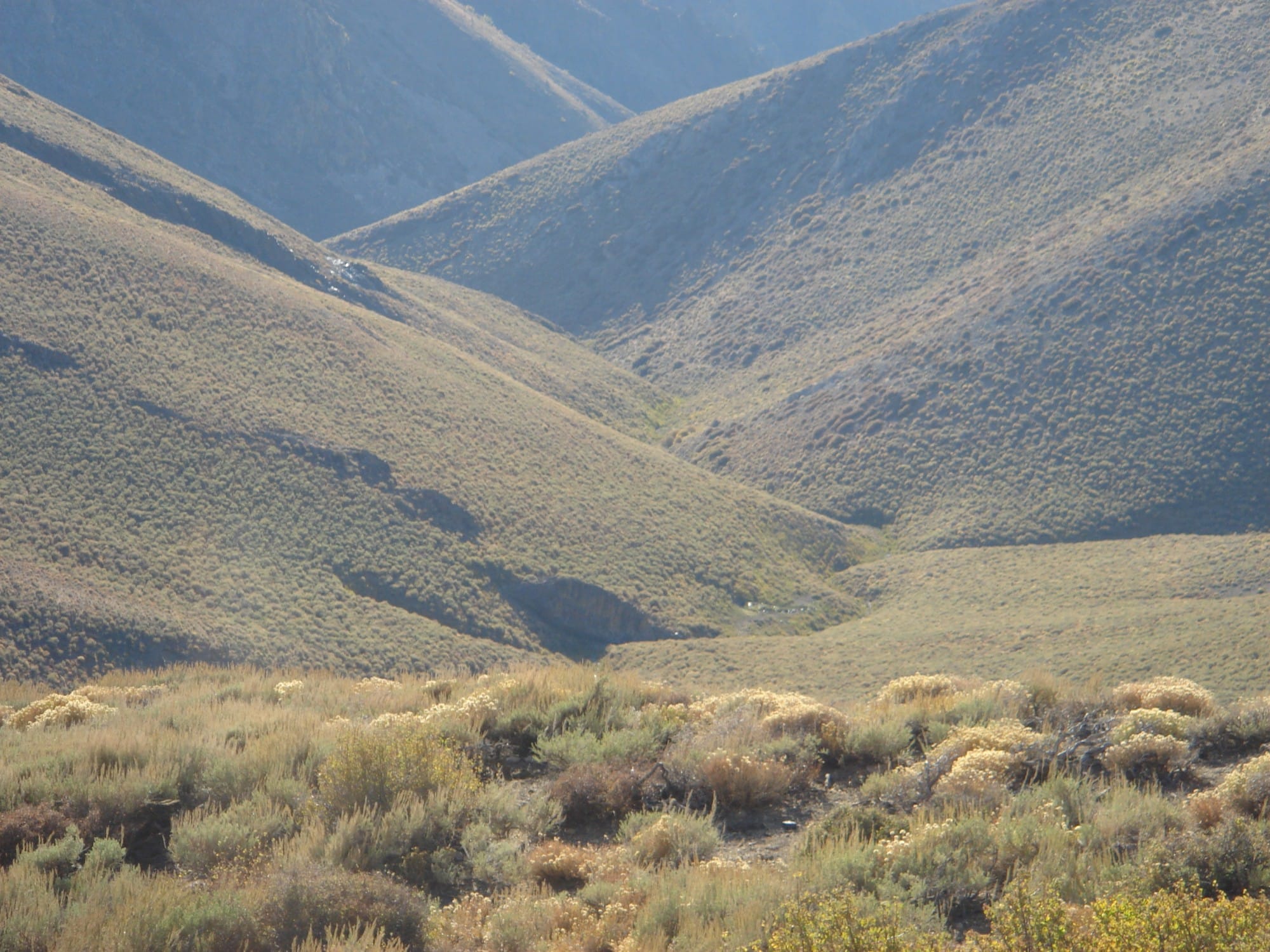 Humboldt County Tract 15 photo 13