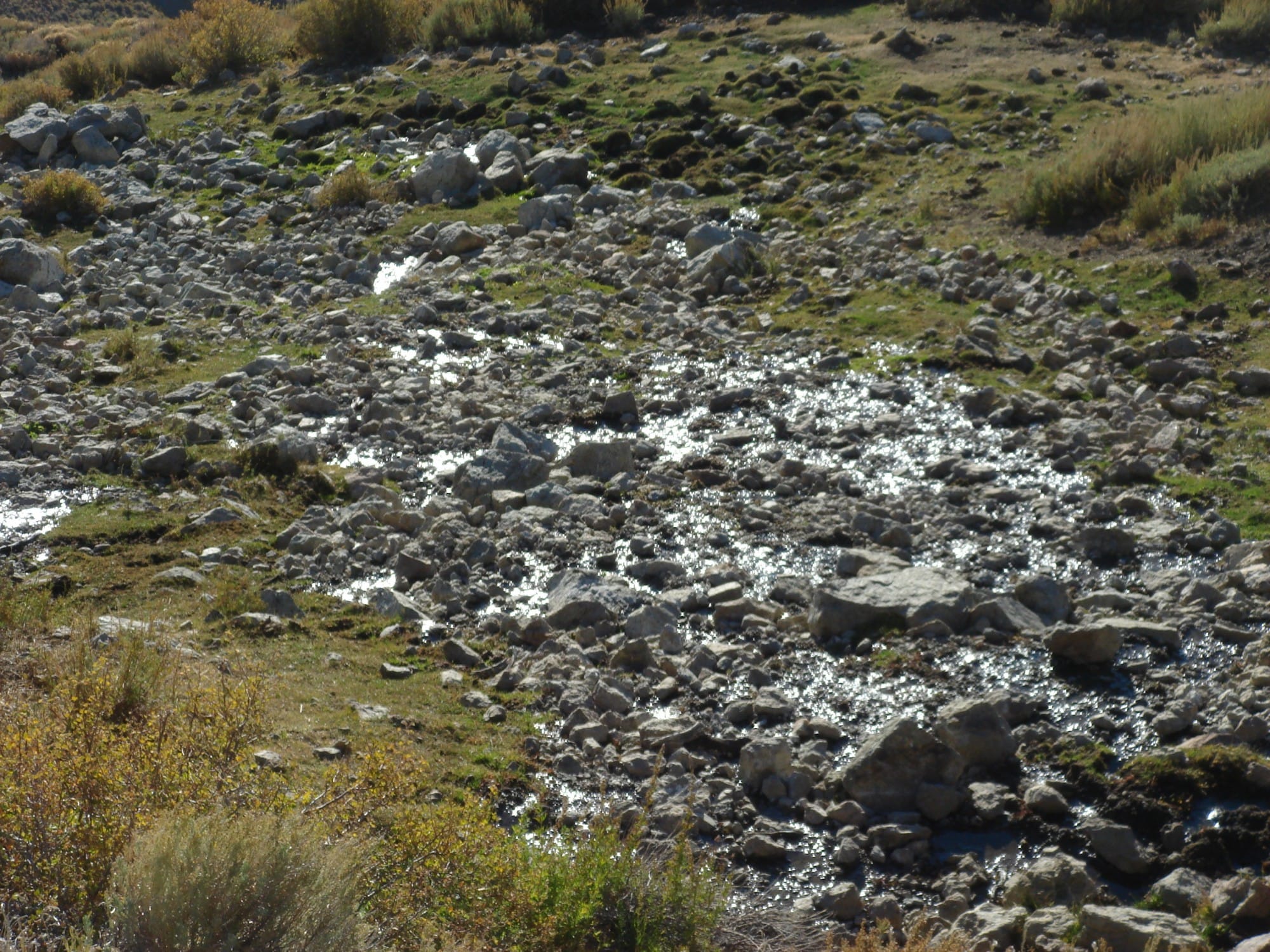Humboldt County Tract 15 photo 14