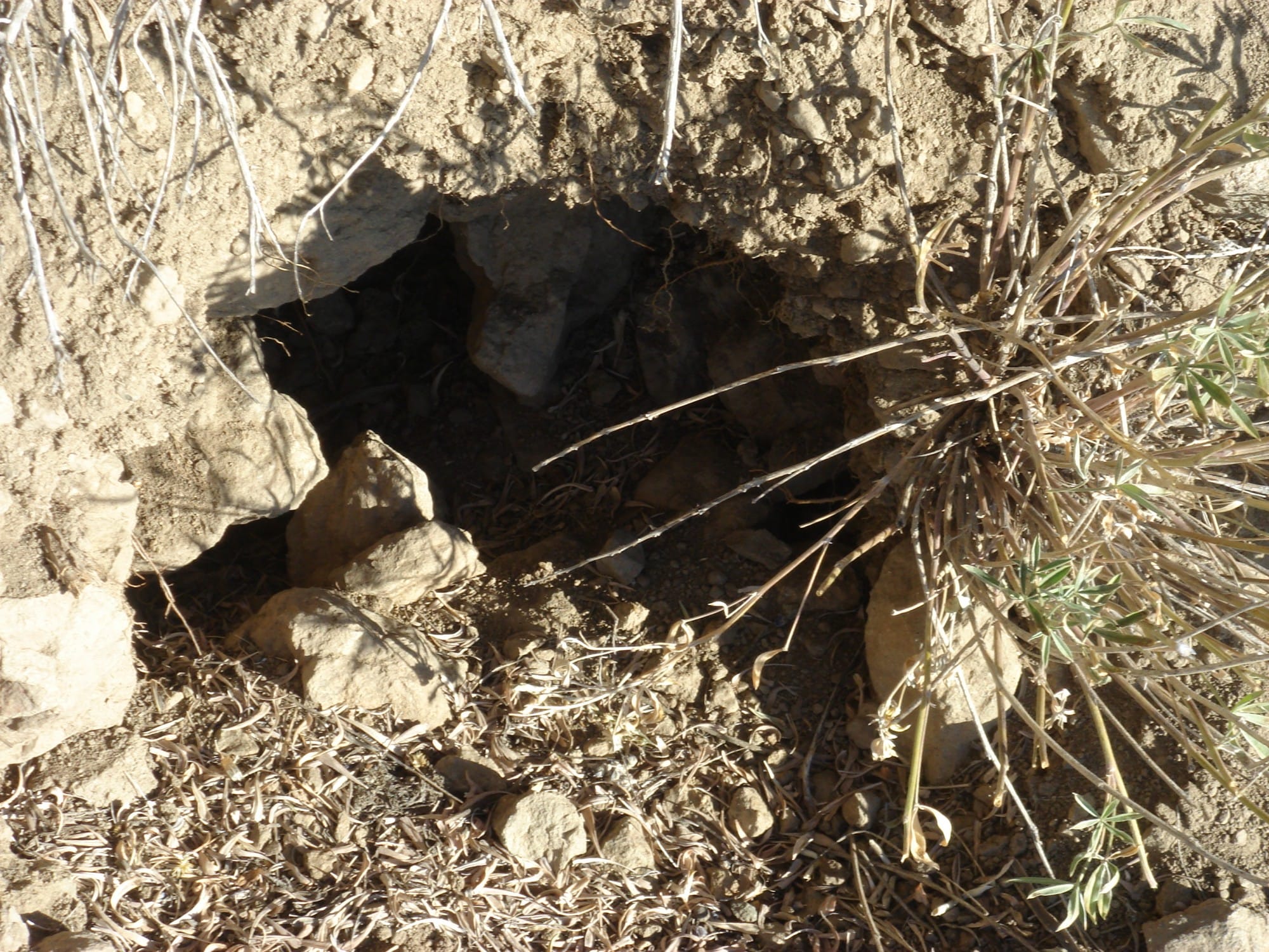 Humboldt County Tract 15 photo 15