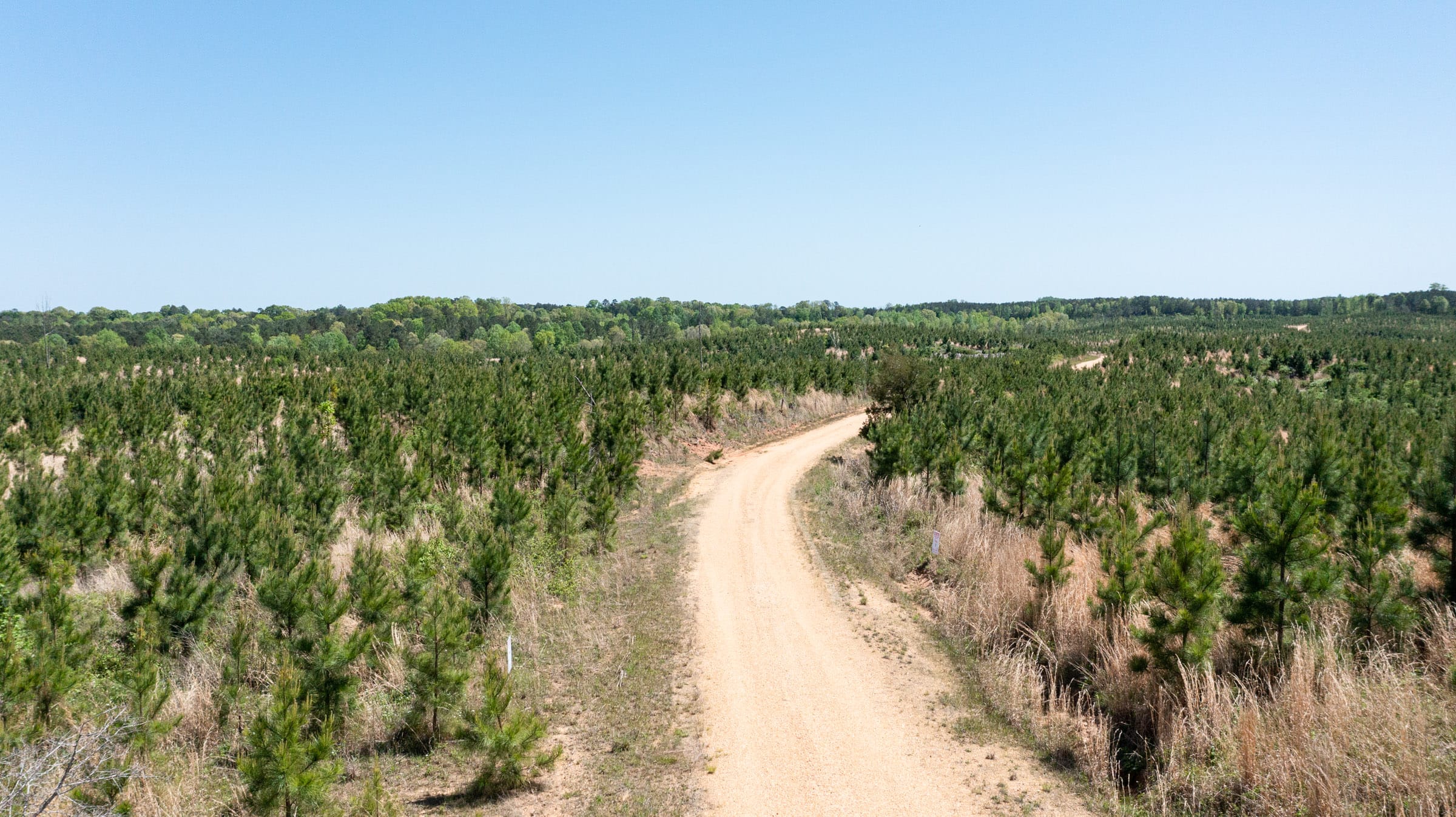 Clear Wood Tract 17 photo 1