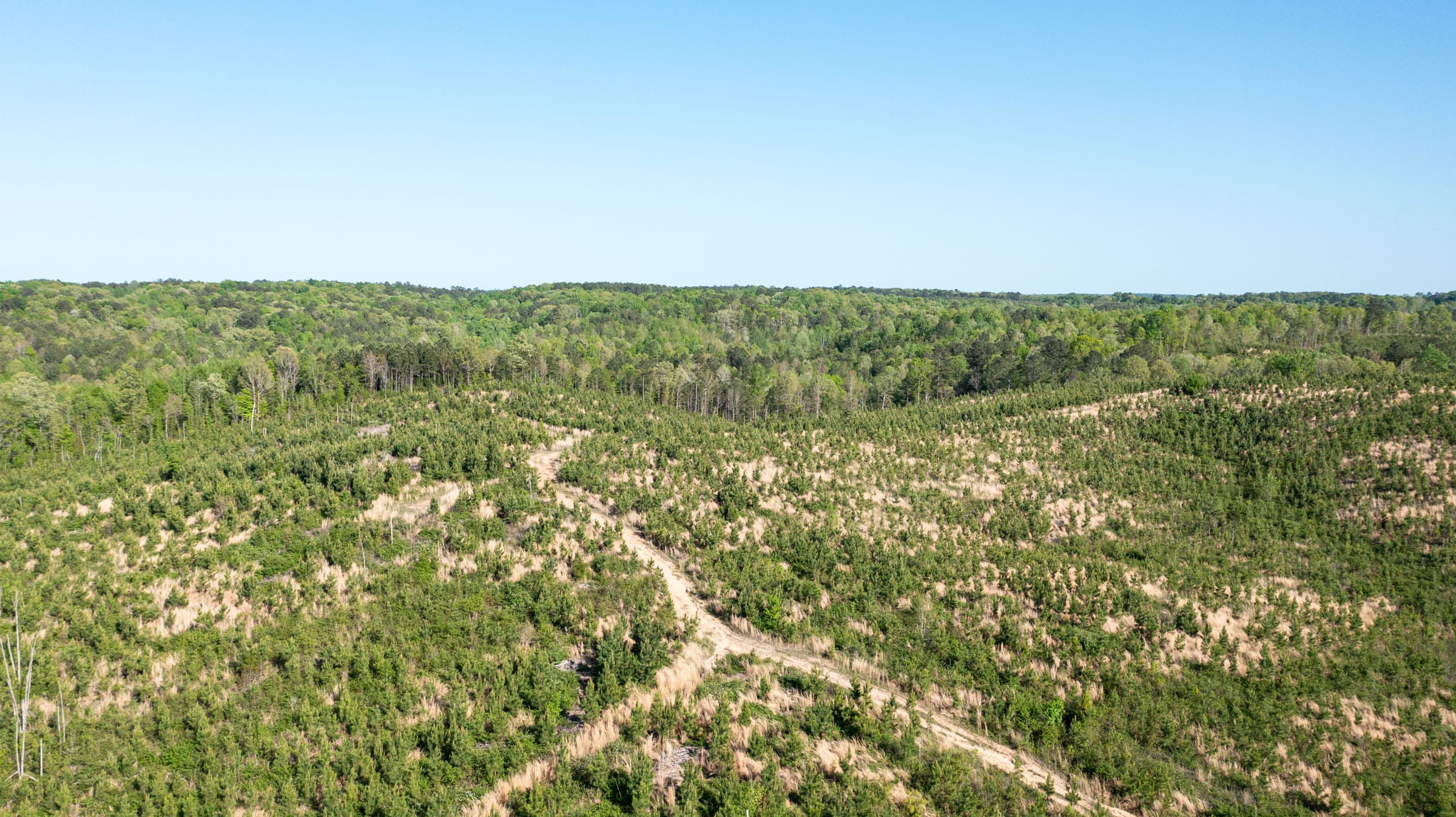 Clear Wood Tract 17 photo 2