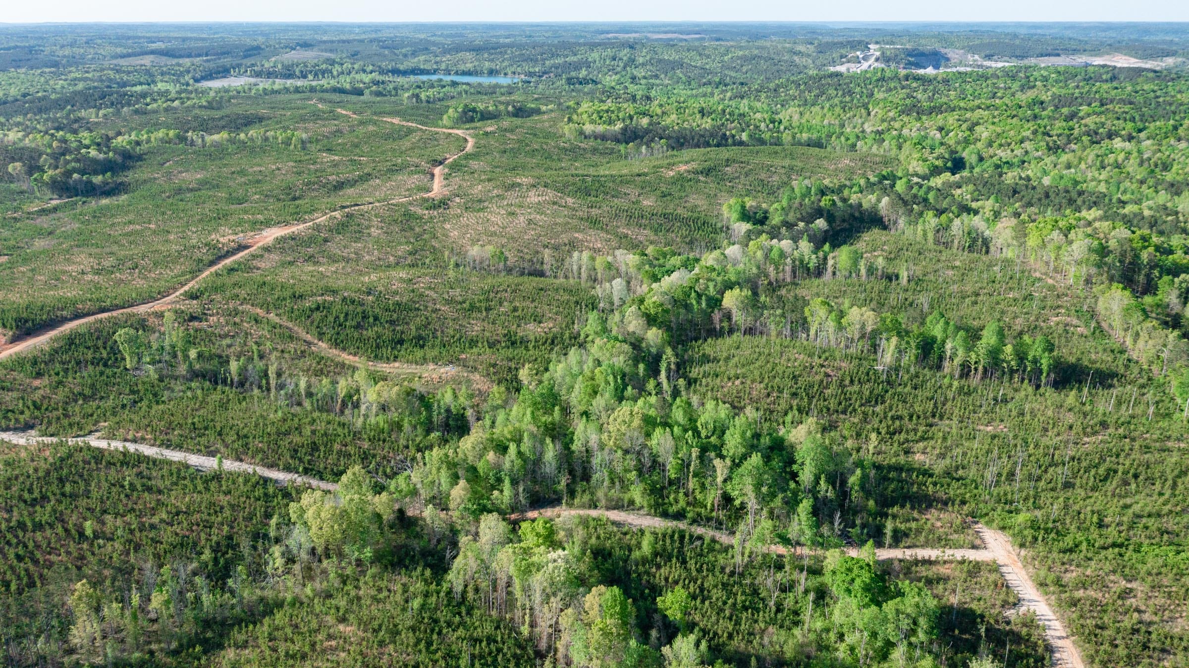 Clear Wood Tract 17 photo 4