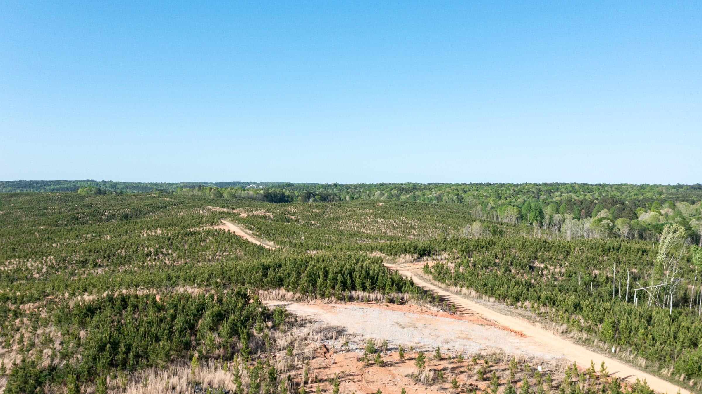 Clear Wood Tract 17 photo 5