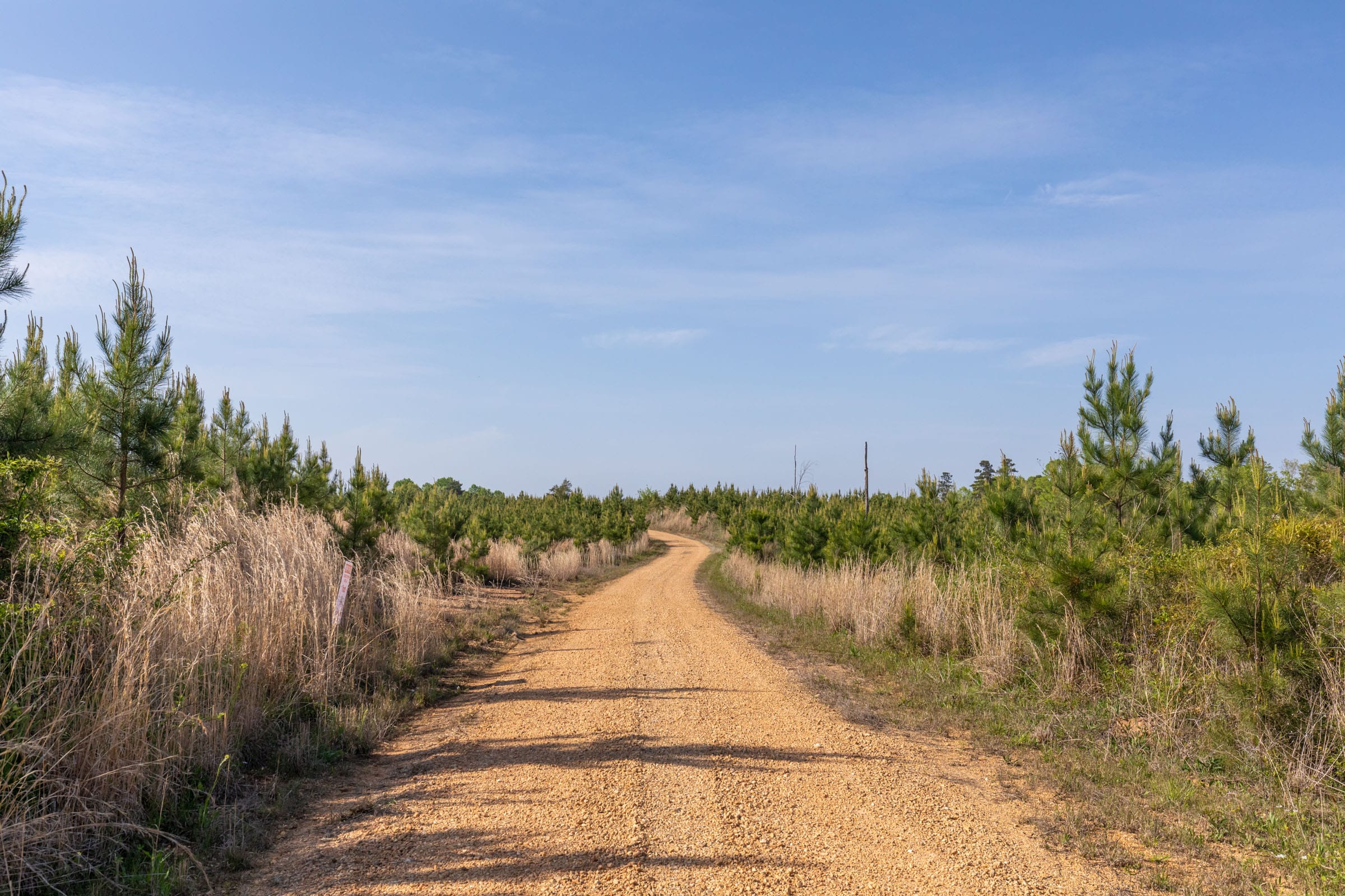 Clear Wood Tract 17 photo 7