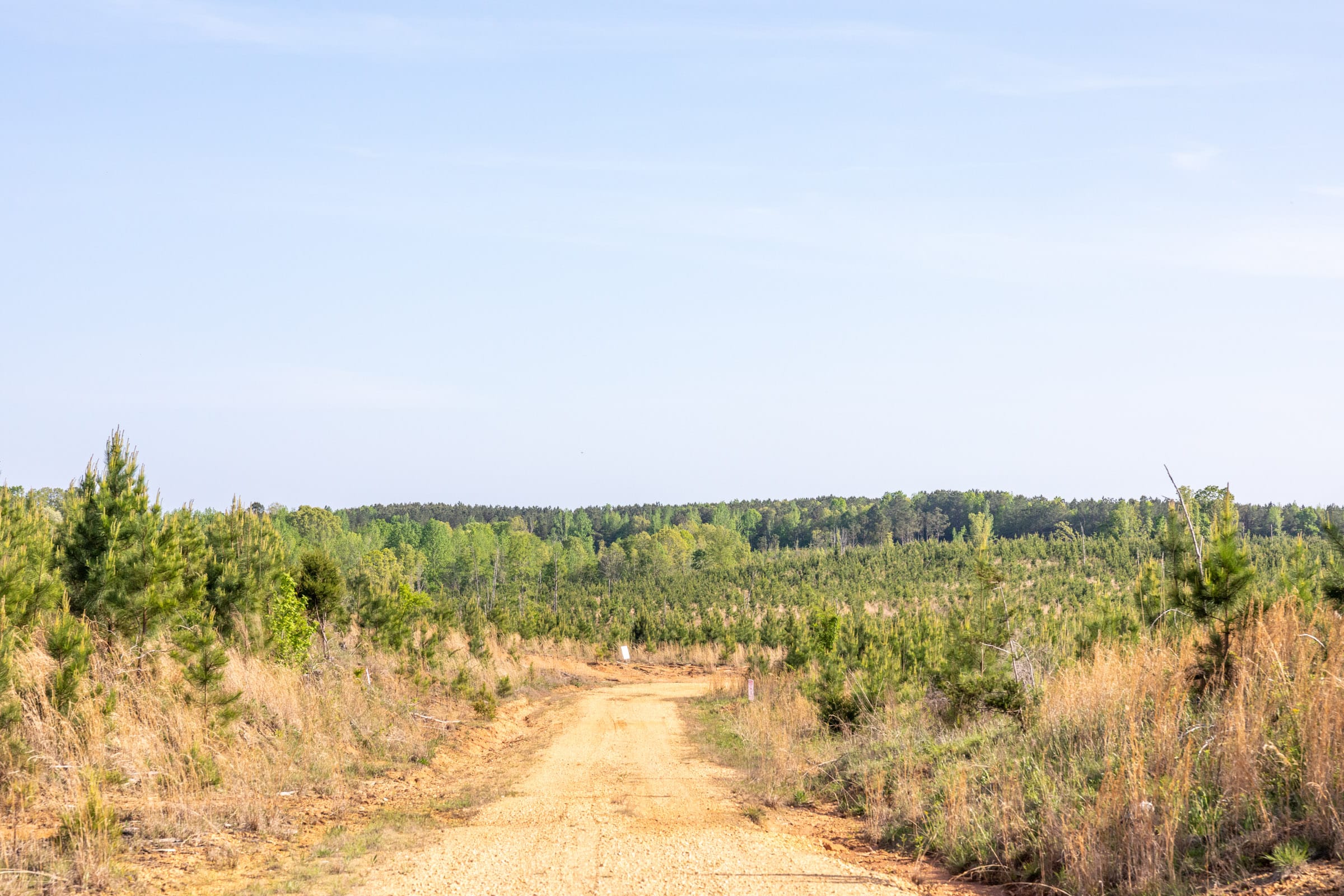 Clear Wood Tract 17 photo 10