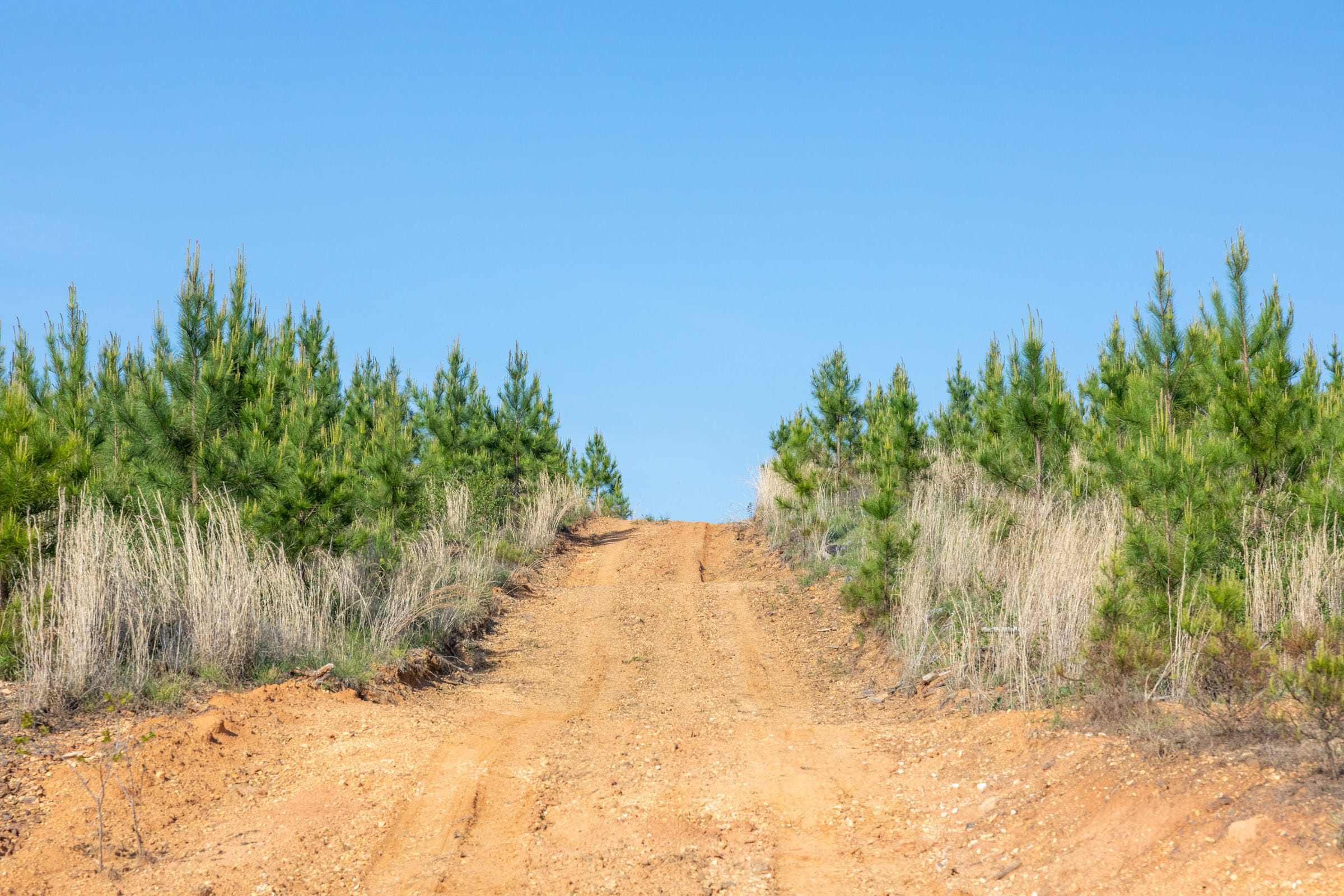 Clear Wood Tract 17 photo 14