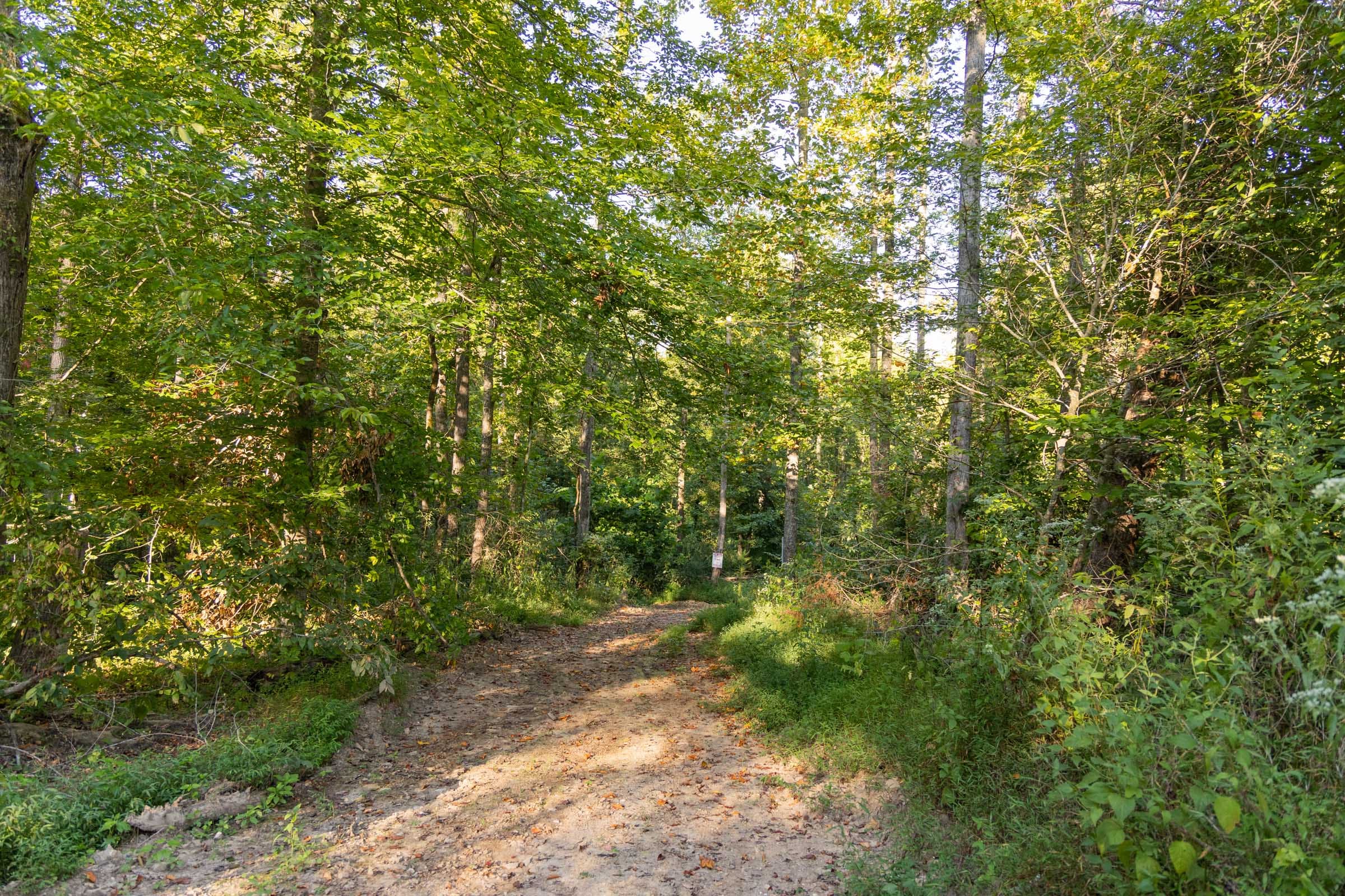 Big White Oak Tract 90 photo 8