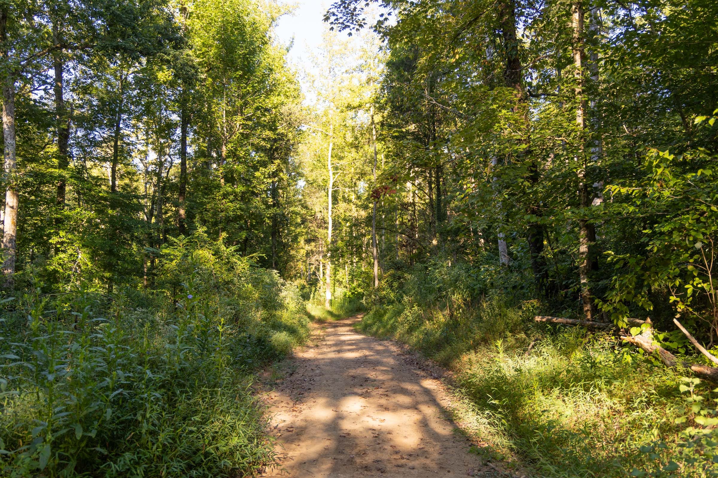 Big White Oak Tract 90 photo 5