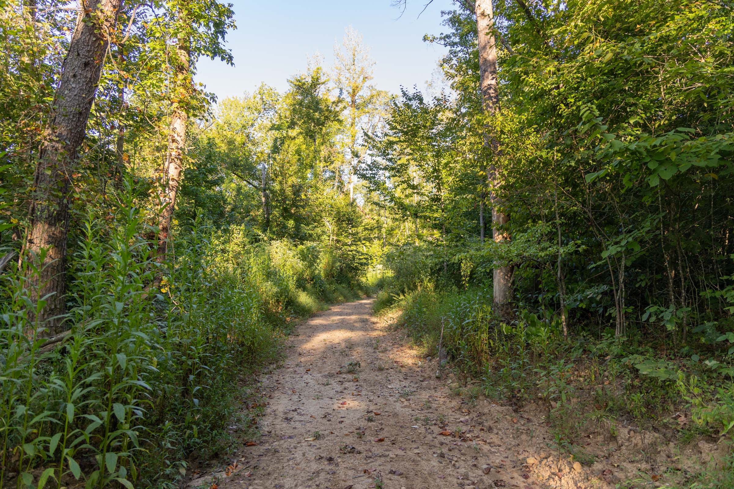 Big White Oak Tract 90 photo 1