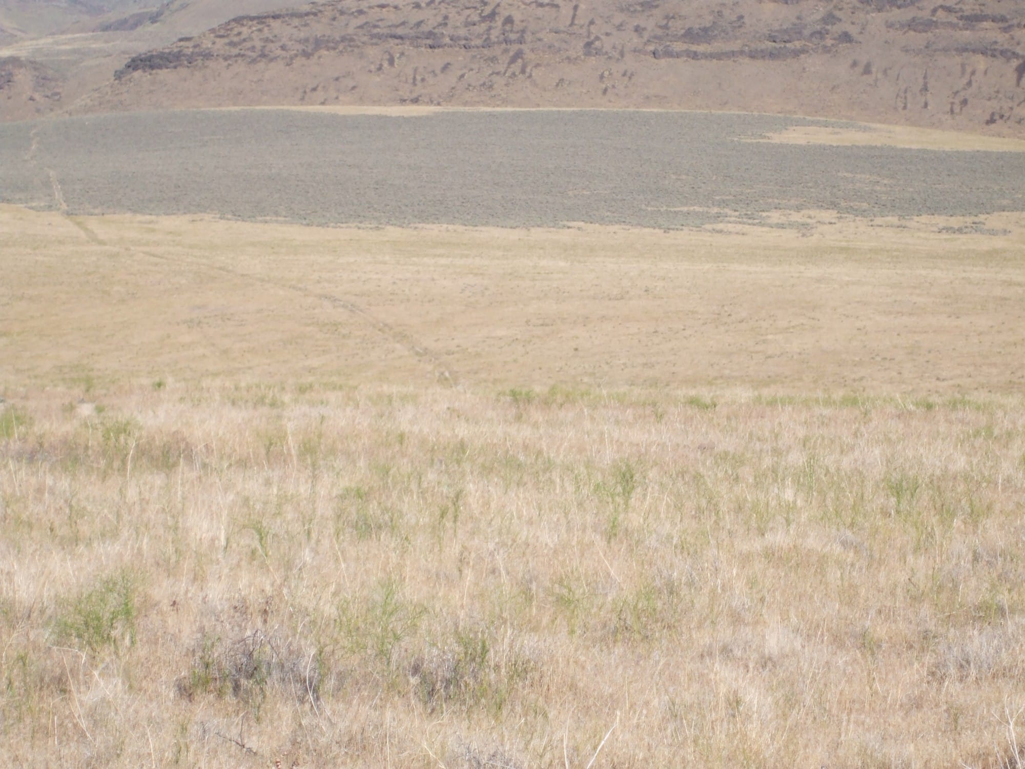 Elko County Tract 2 photo 4