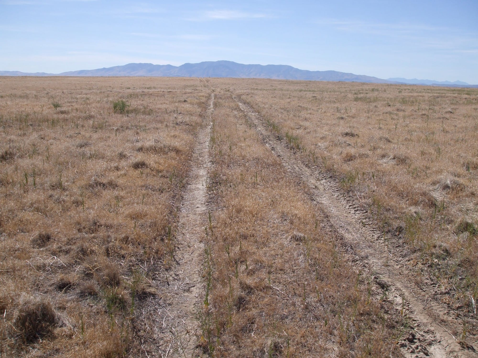 Elko County Tract 2 photo 6