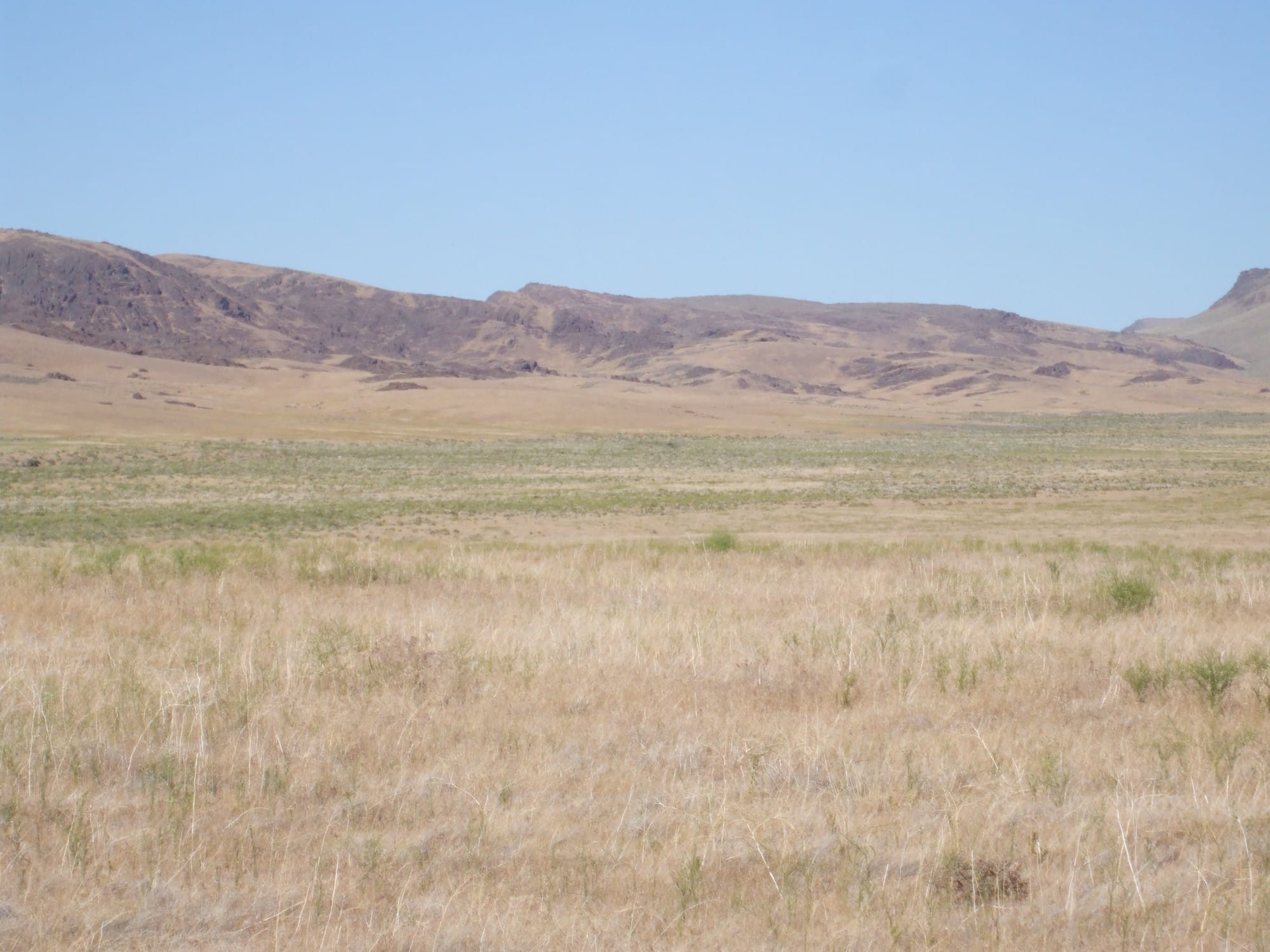 Elko County Tract 2 photo 10