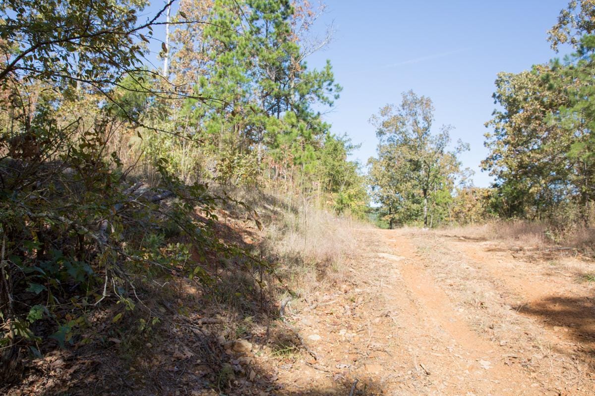 Stone Creek Phase I Tract 150 photo 4