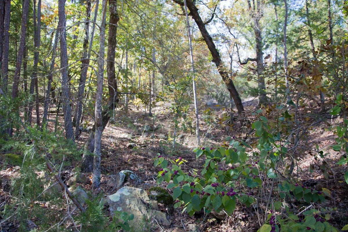 Stone Creek Phase I Tract 150 photo 2