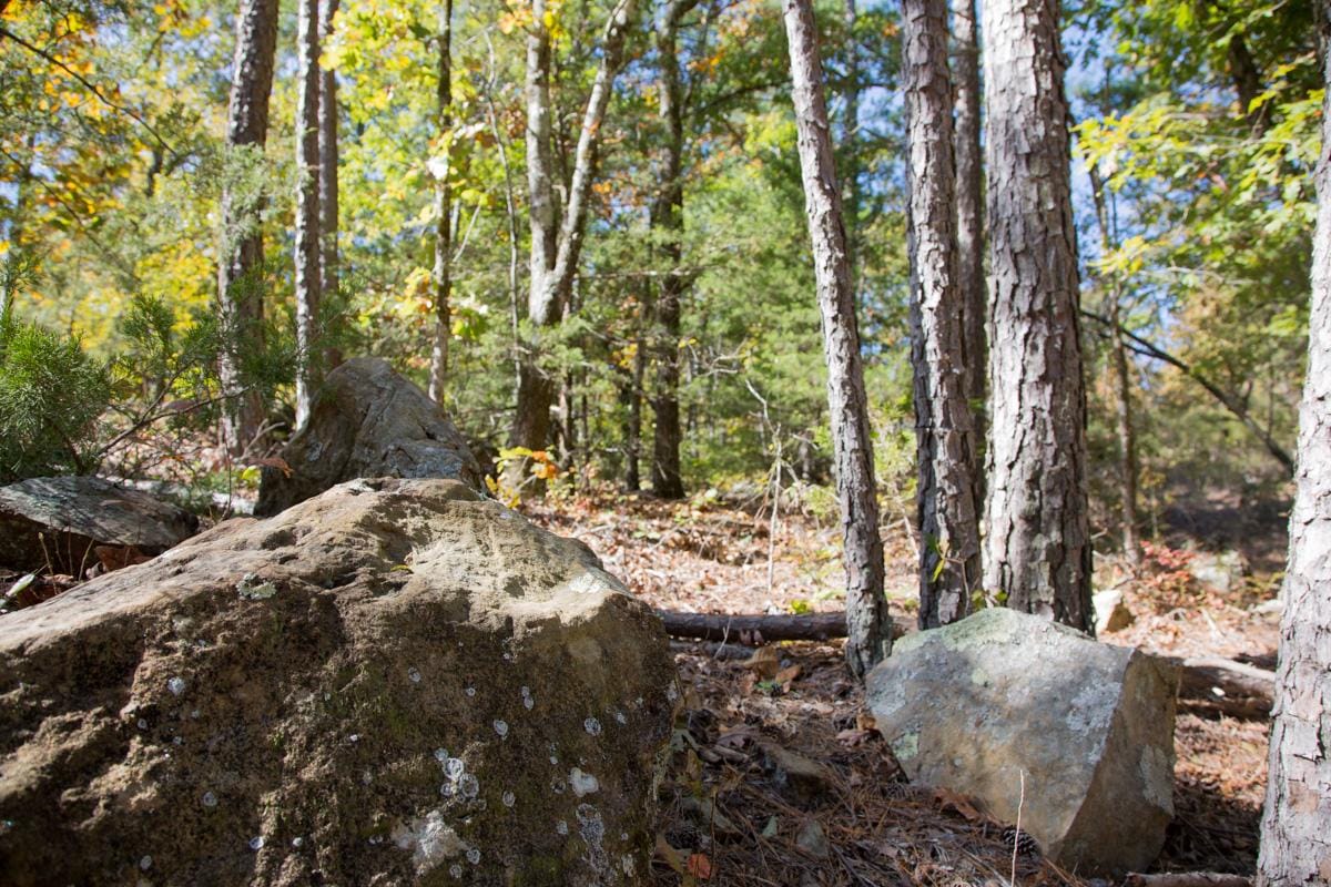Stone Creek Phase I Tract 150 photo 5