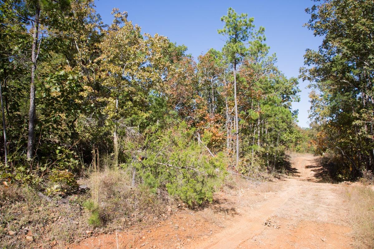 Stone Creek Phase I Tract 150 photo 7