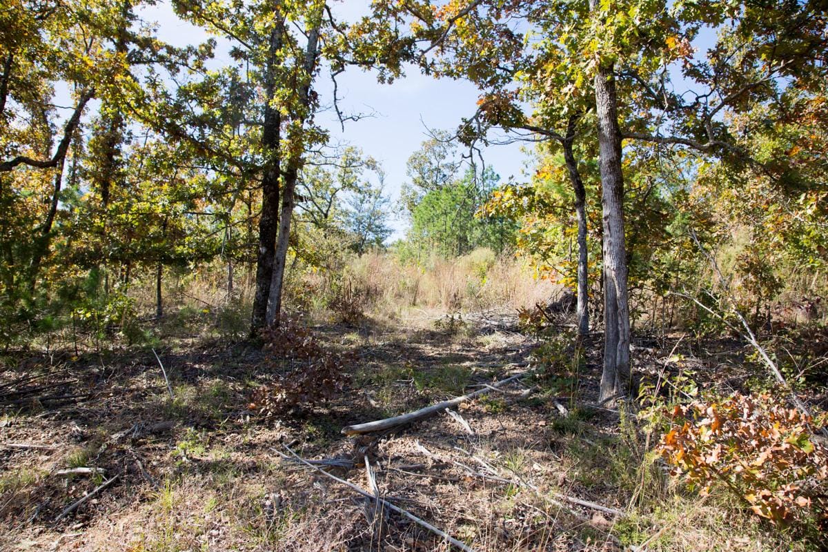 Stone Creek Phase I Tract 150 photo 6