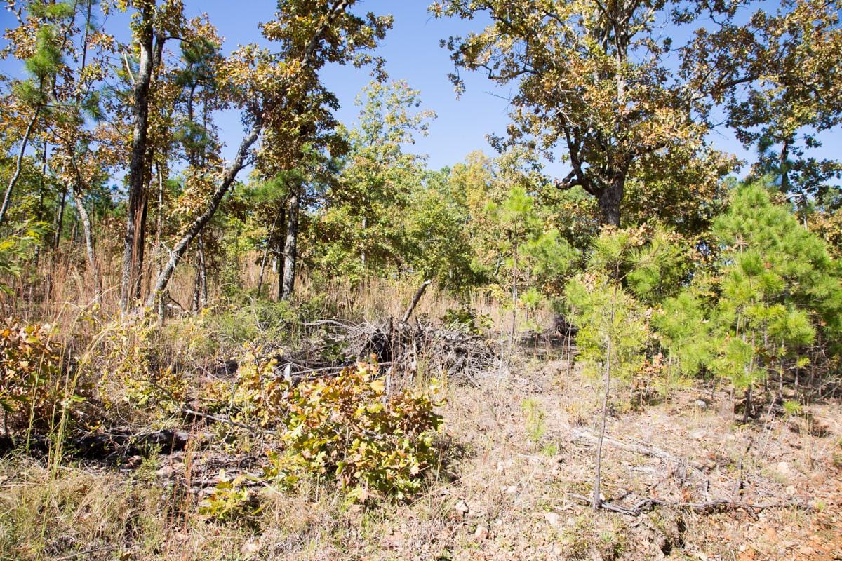 Stone Creek Phase I Tract 150 photo 8