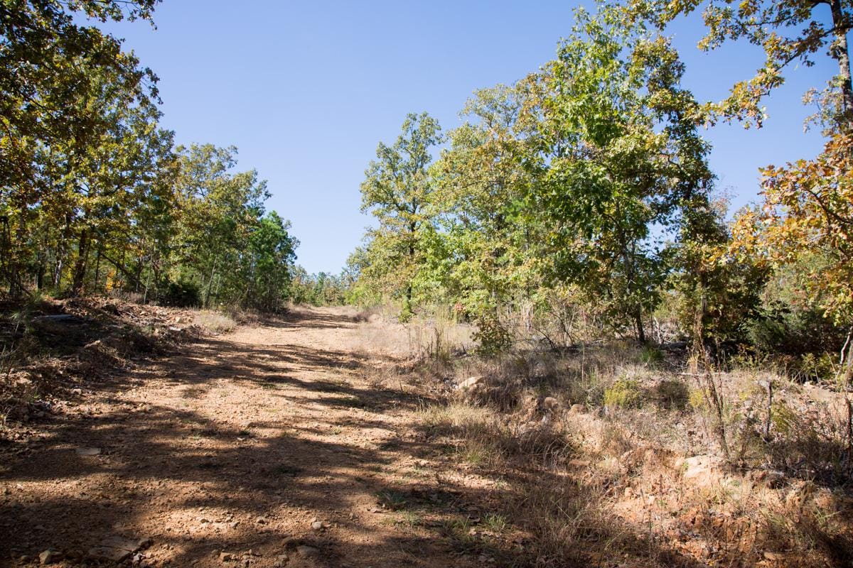 Stone Creek Phase I Tract 150 photo 10