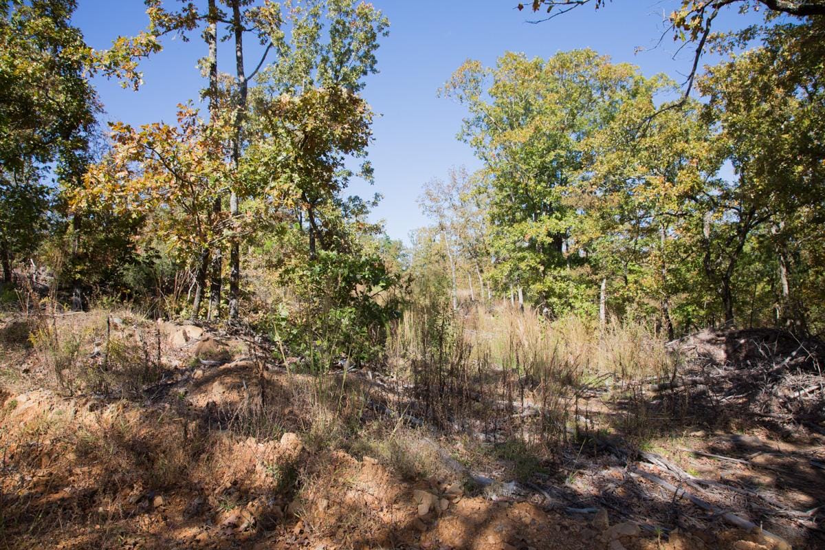 Stone Creek Phase I Tract 150 photo 11