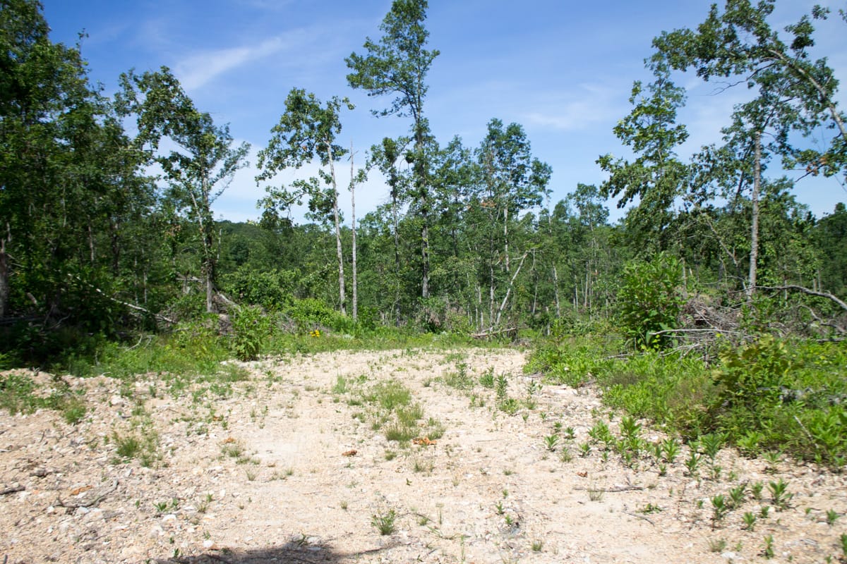 Timber Crossing Tract 15 photo 2