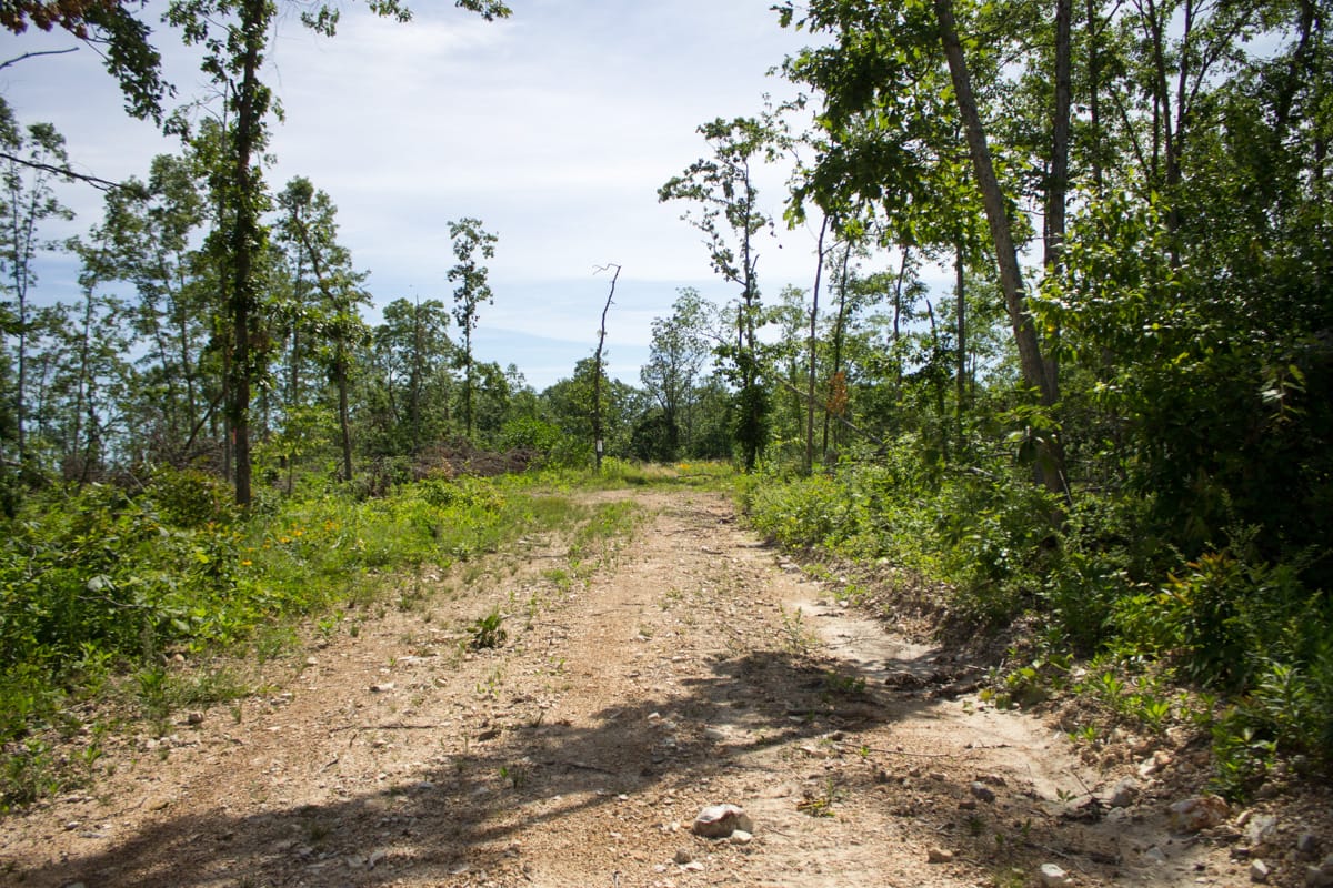 Timber Crossing Tract 15 photo 3