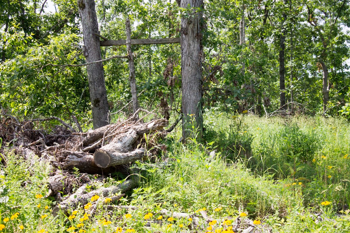 Timber Crossing Tract 15 photo 13