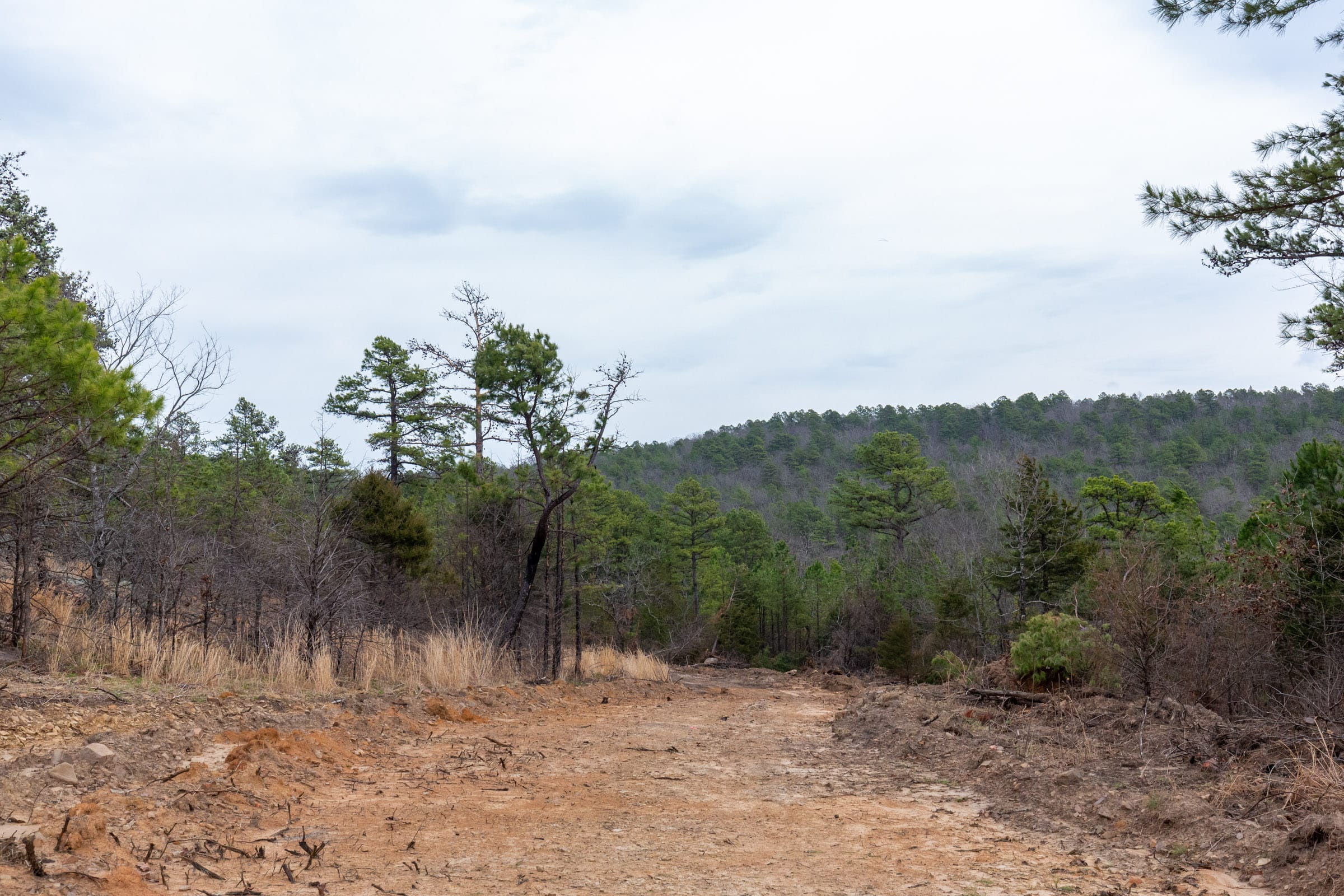 Stone Bridge Phase III Tract 137 photo 1