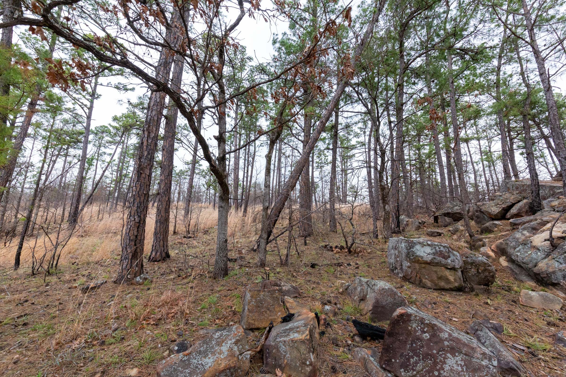 Stone Bridge Phase III Tract 137 photo 5