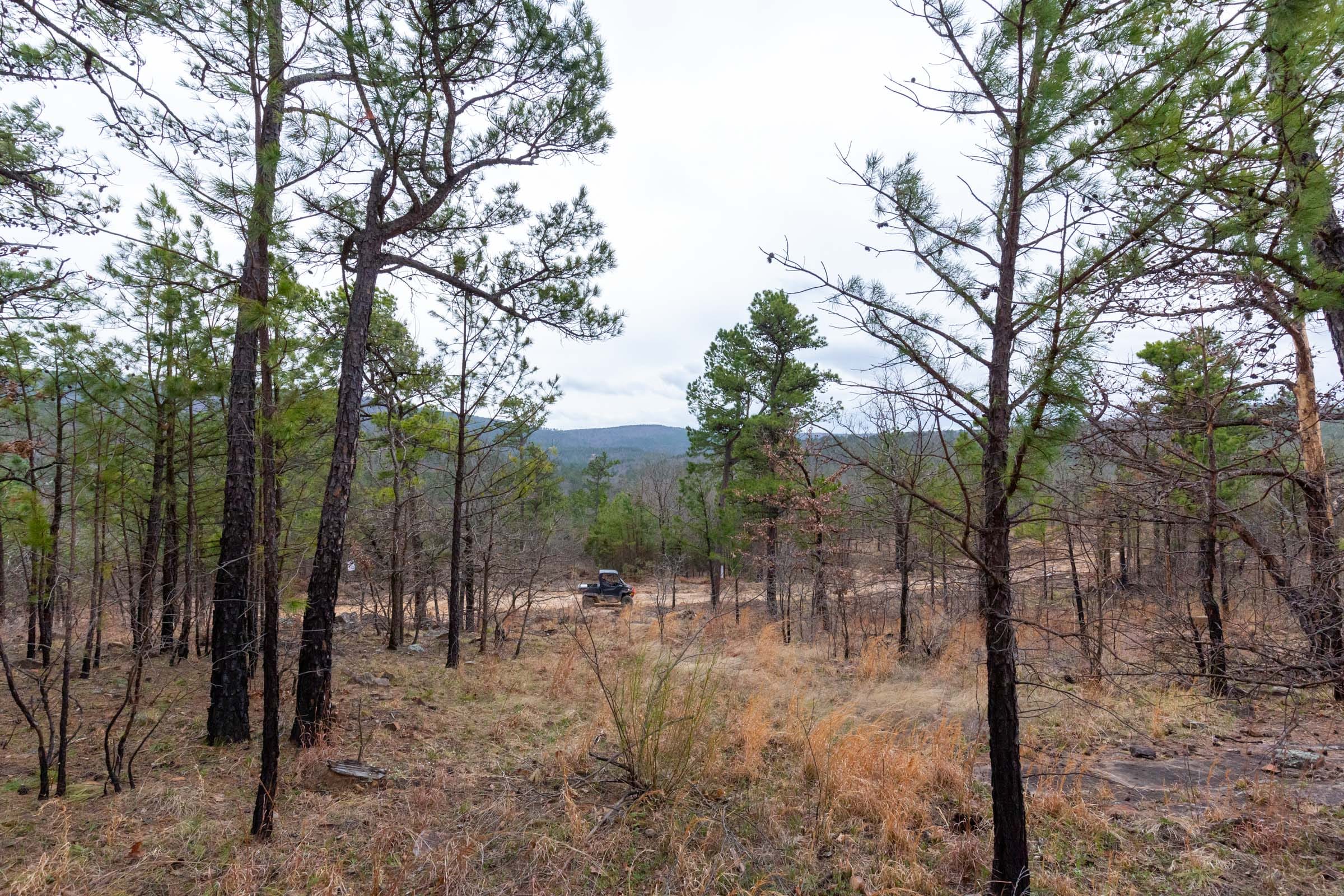 Stone Bridge Phase III Tract 137 photo 8