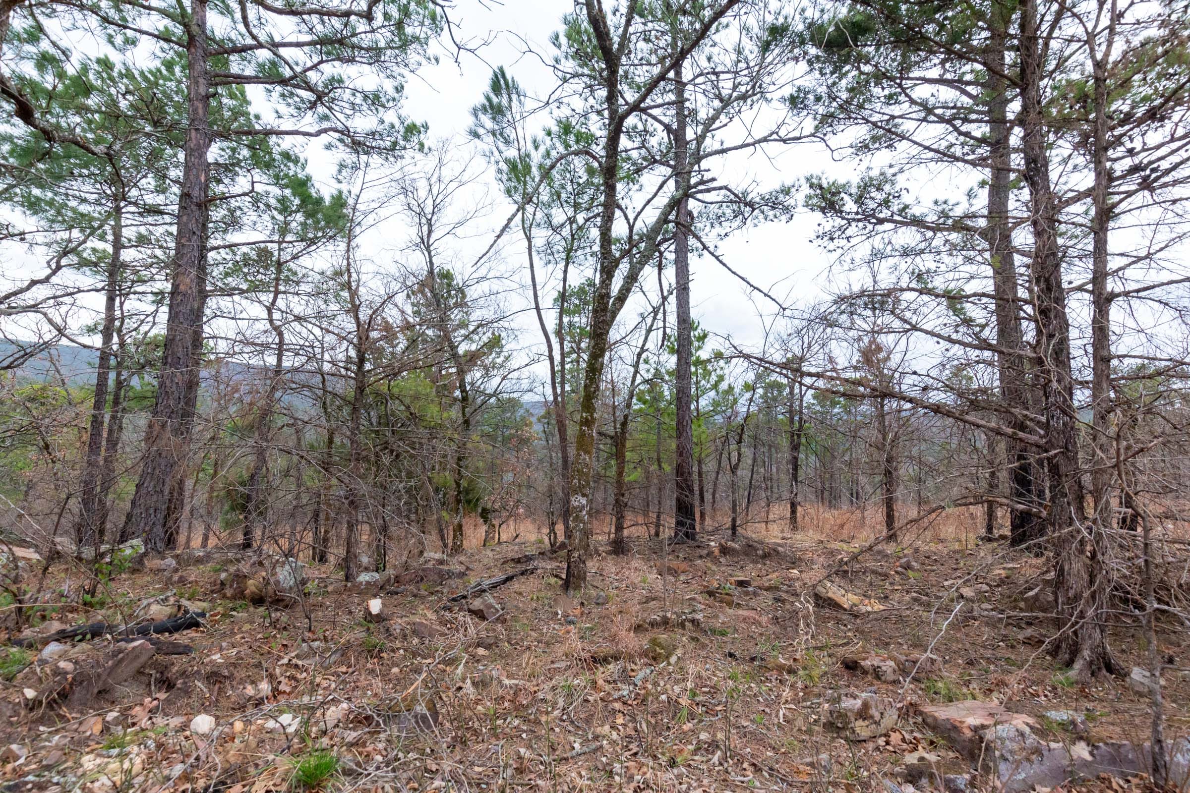 Stone Bridge Phase III Tract 137 photo 9