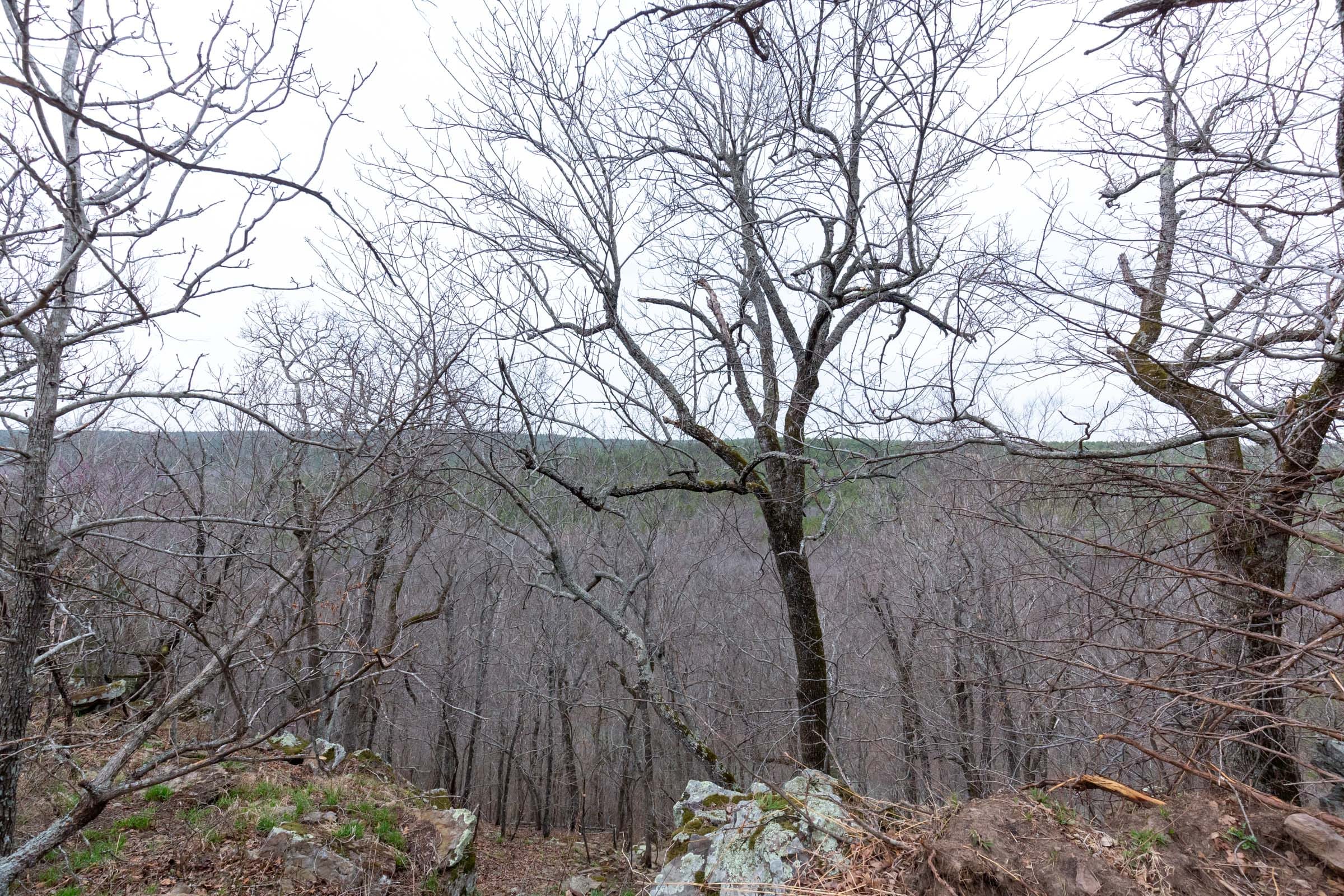 Stone Bridge Phase III Tract 137 photo 10