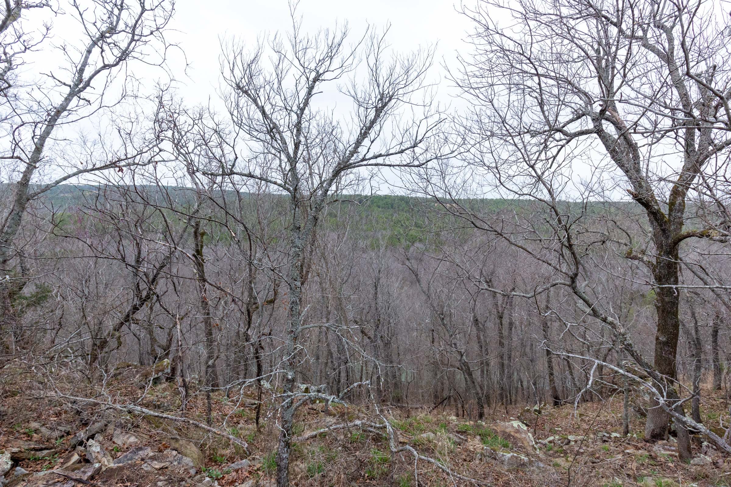 Stone Bridge Phase III Tract 137 photo 11