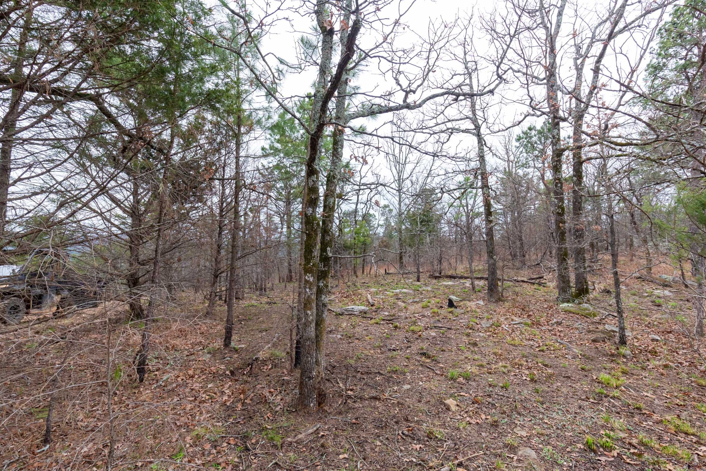 Stone Bridge Phase III Tract 137 photo 12
