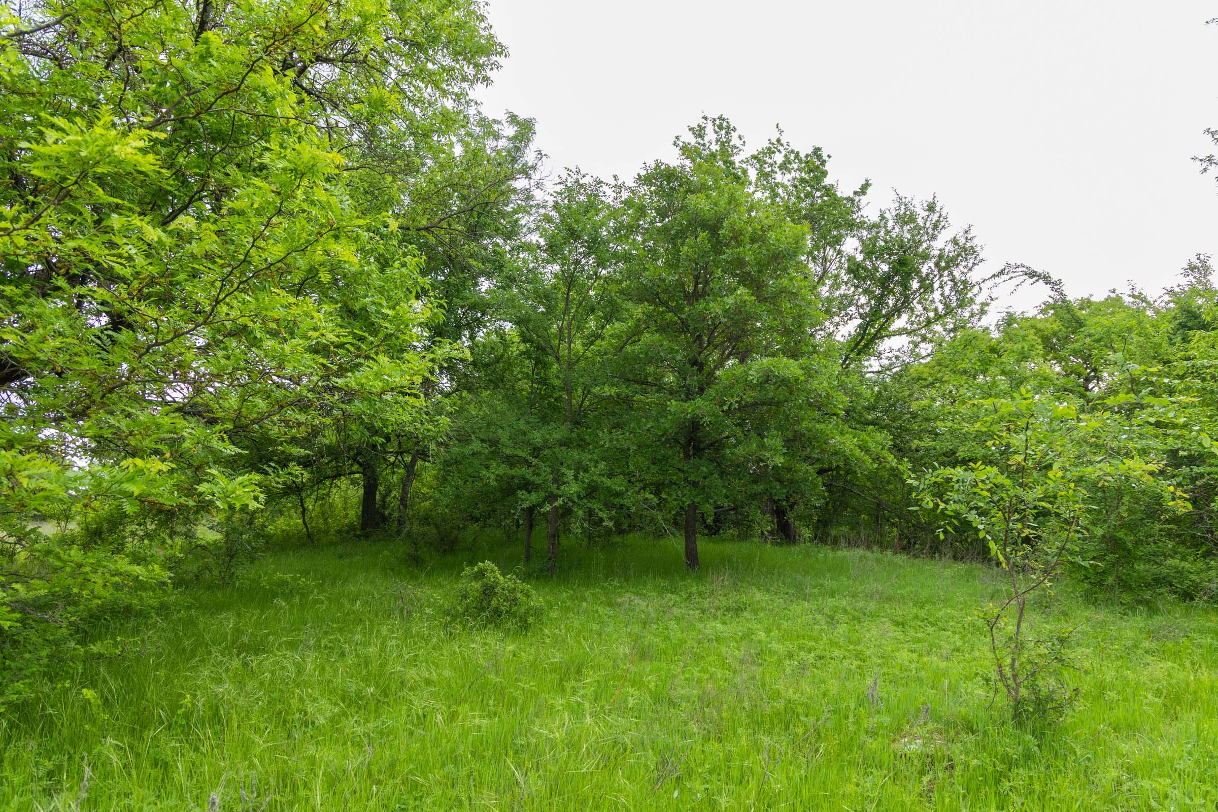 Harmony Hills Tract 17 photo 6