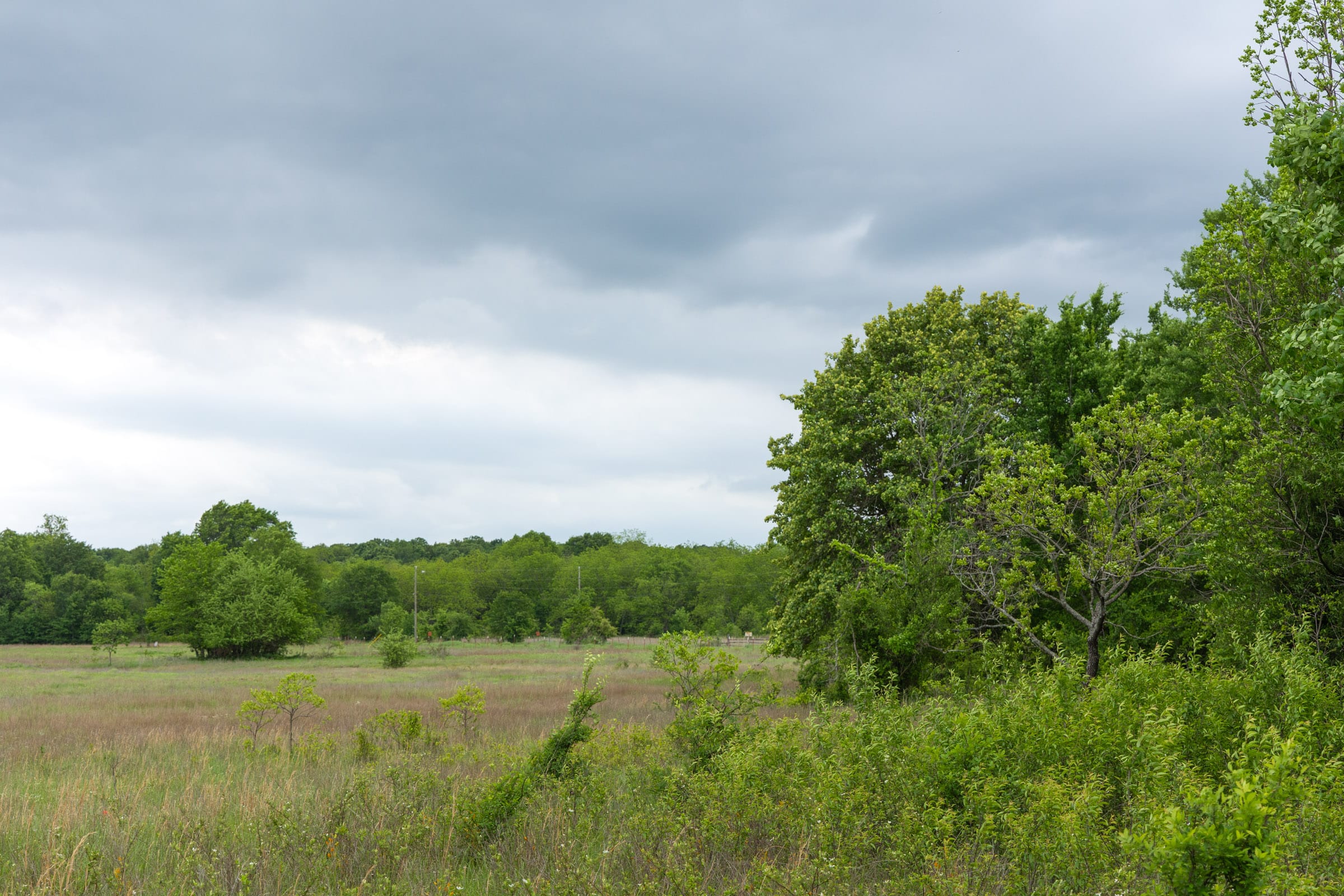 Harmony Hills Tract 17 photo 9