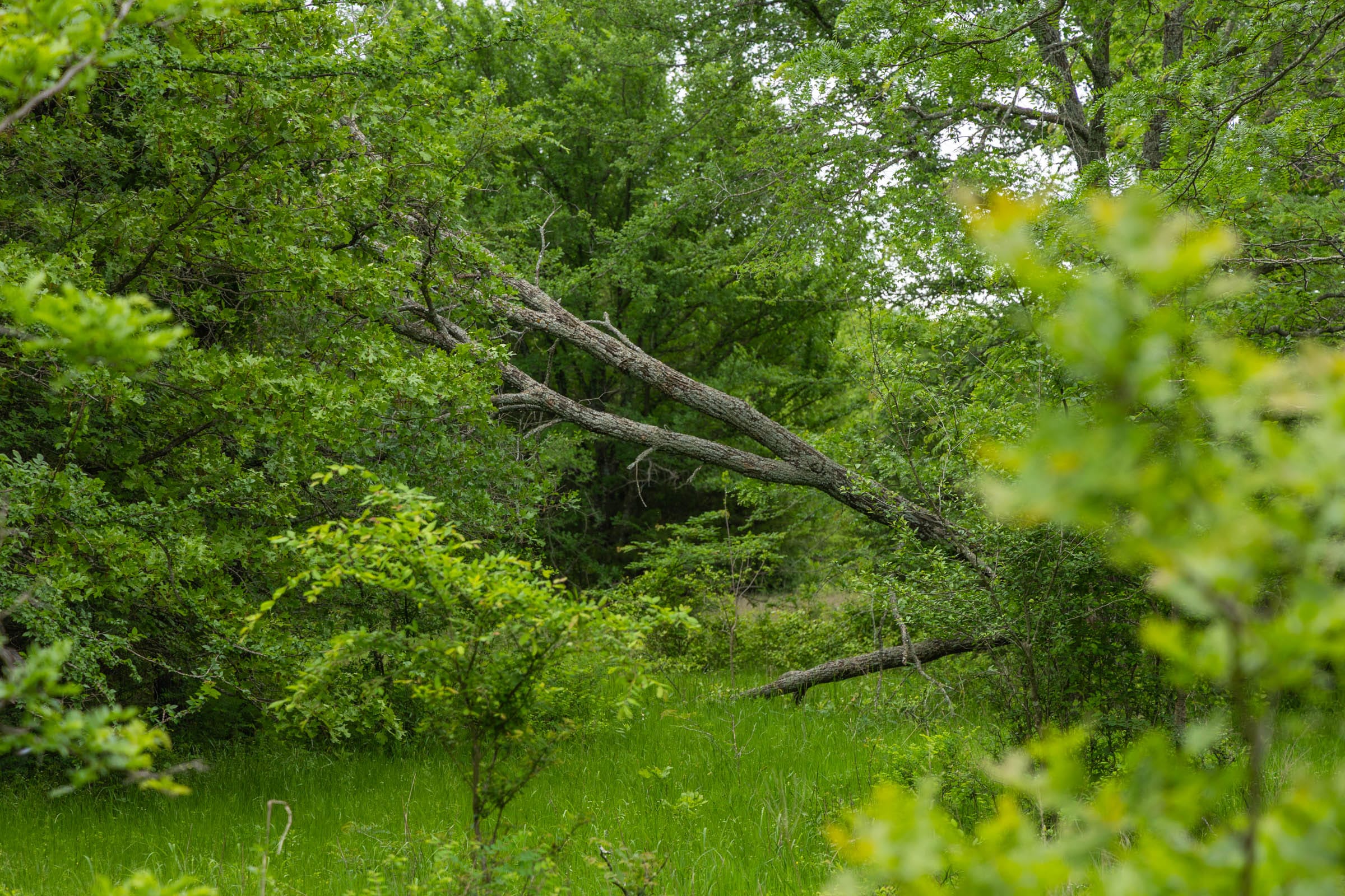 Harmony Hills Tract 17 photo 15