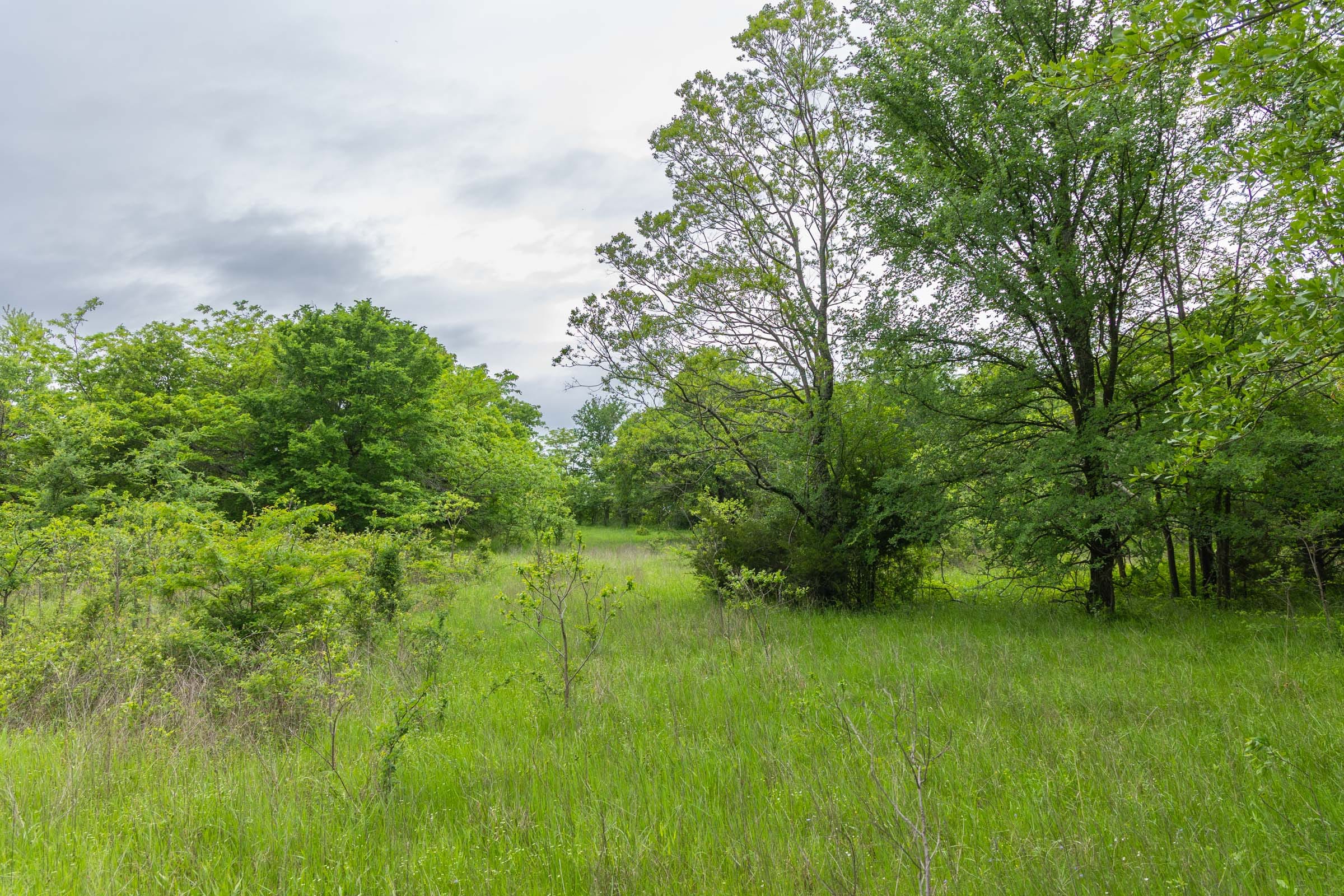 Harmony Hills Tract 17 photo 7