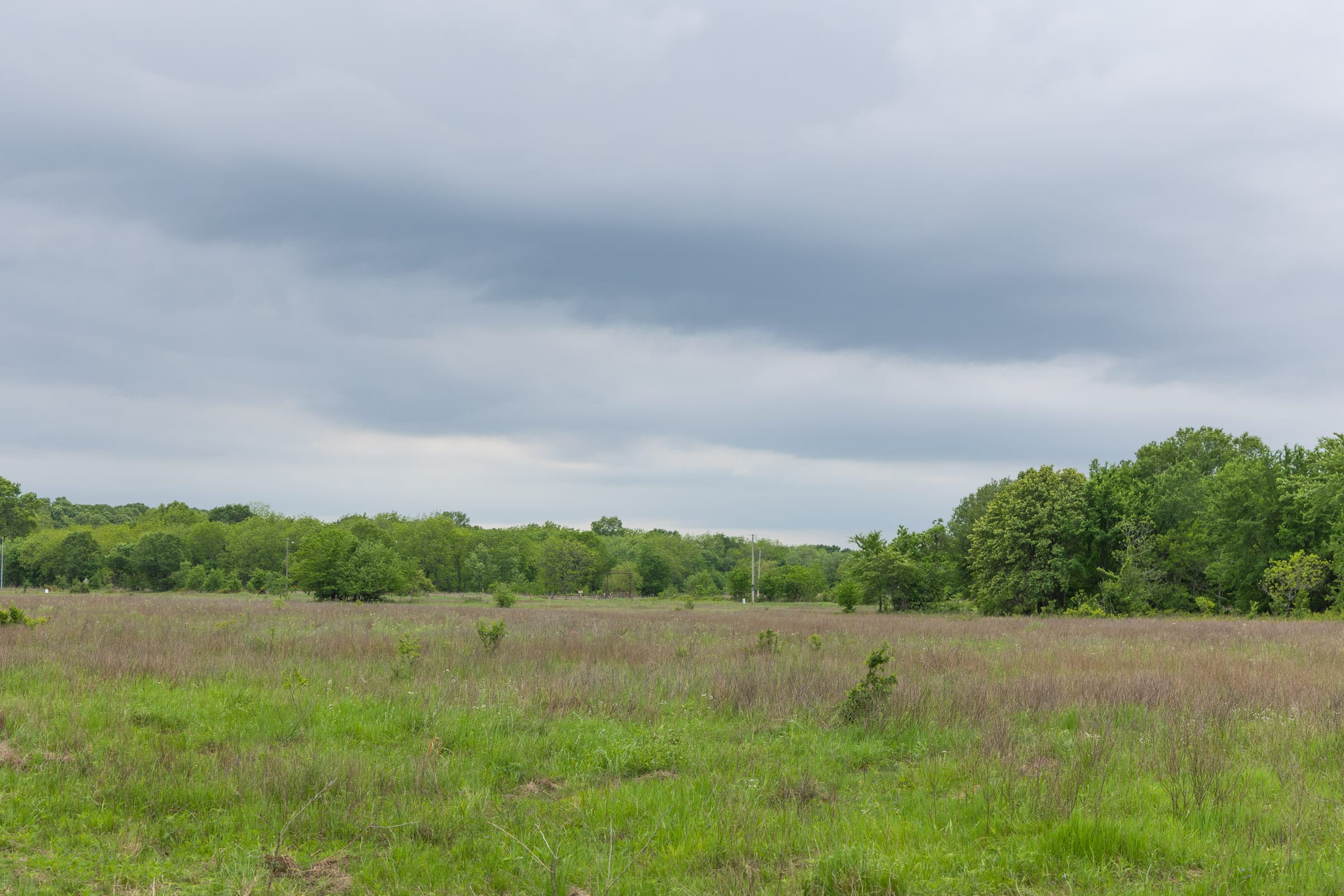 Harmony Hills Tract 17 photo 16