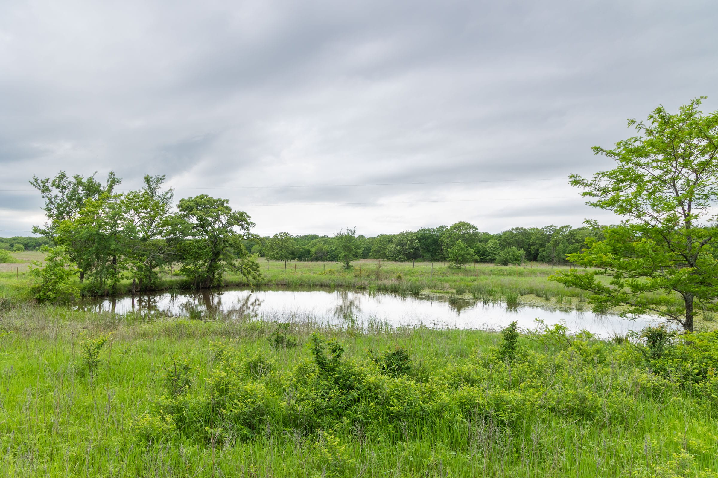 Harmony Hills Tract 17 photo 11
