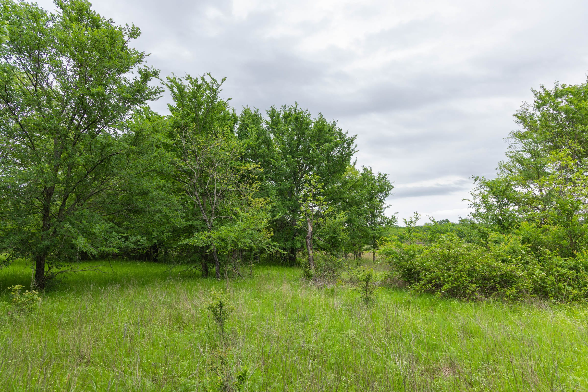 Harmony Hills Tract 17 photo 12