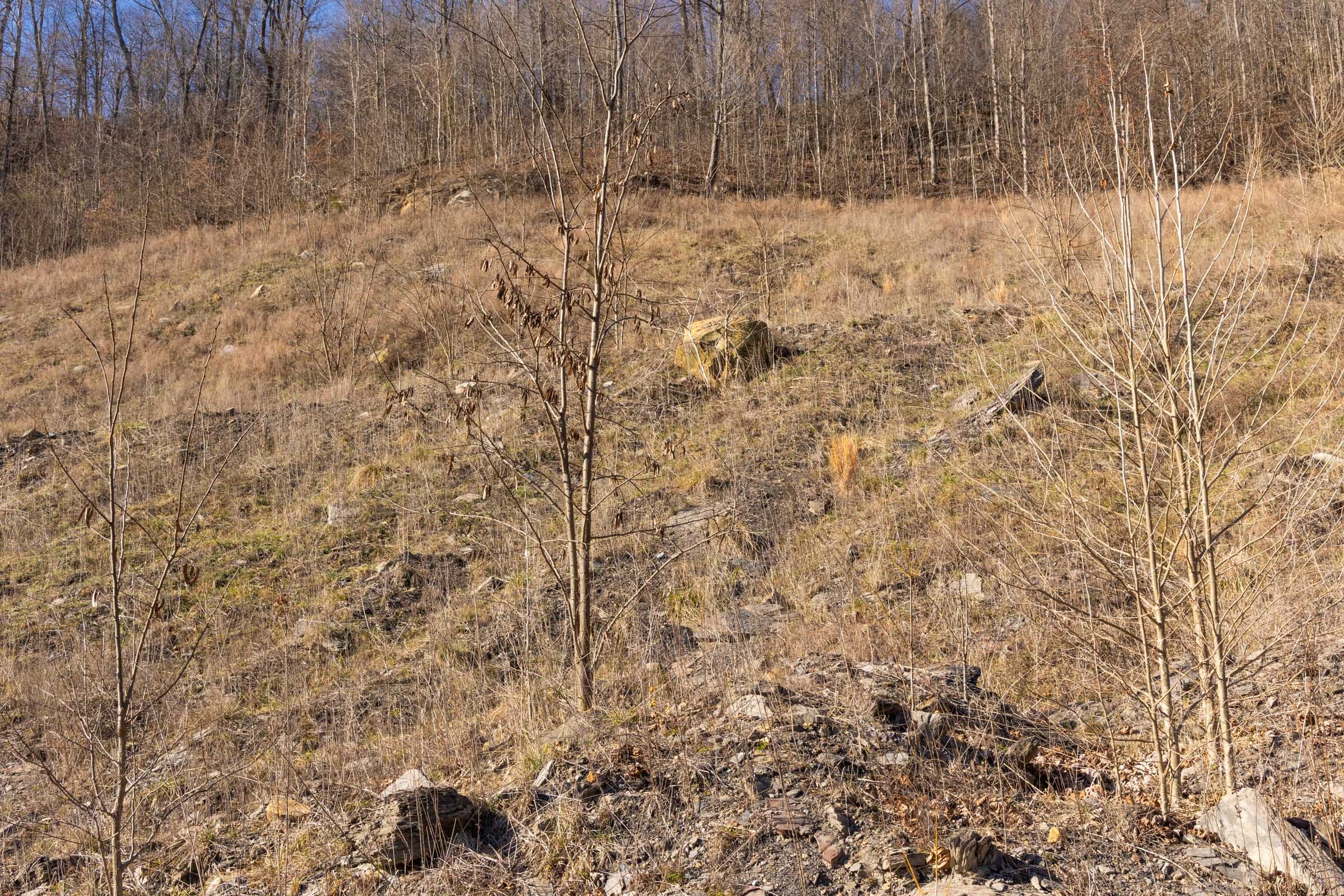 Jade Pass Tract 9 photo 5