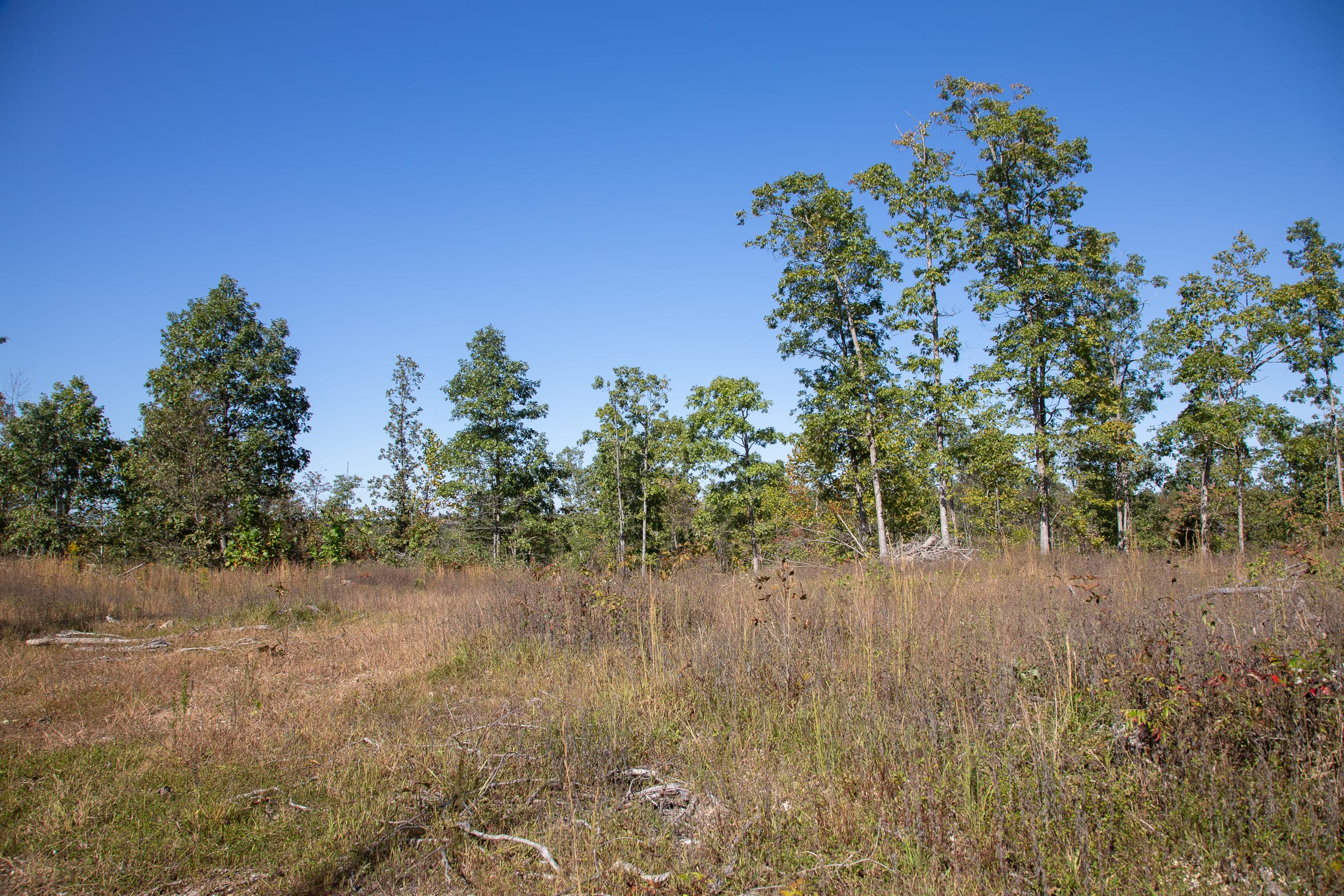 Borgmann’s Hollow Phase III Tract 102 photo 3