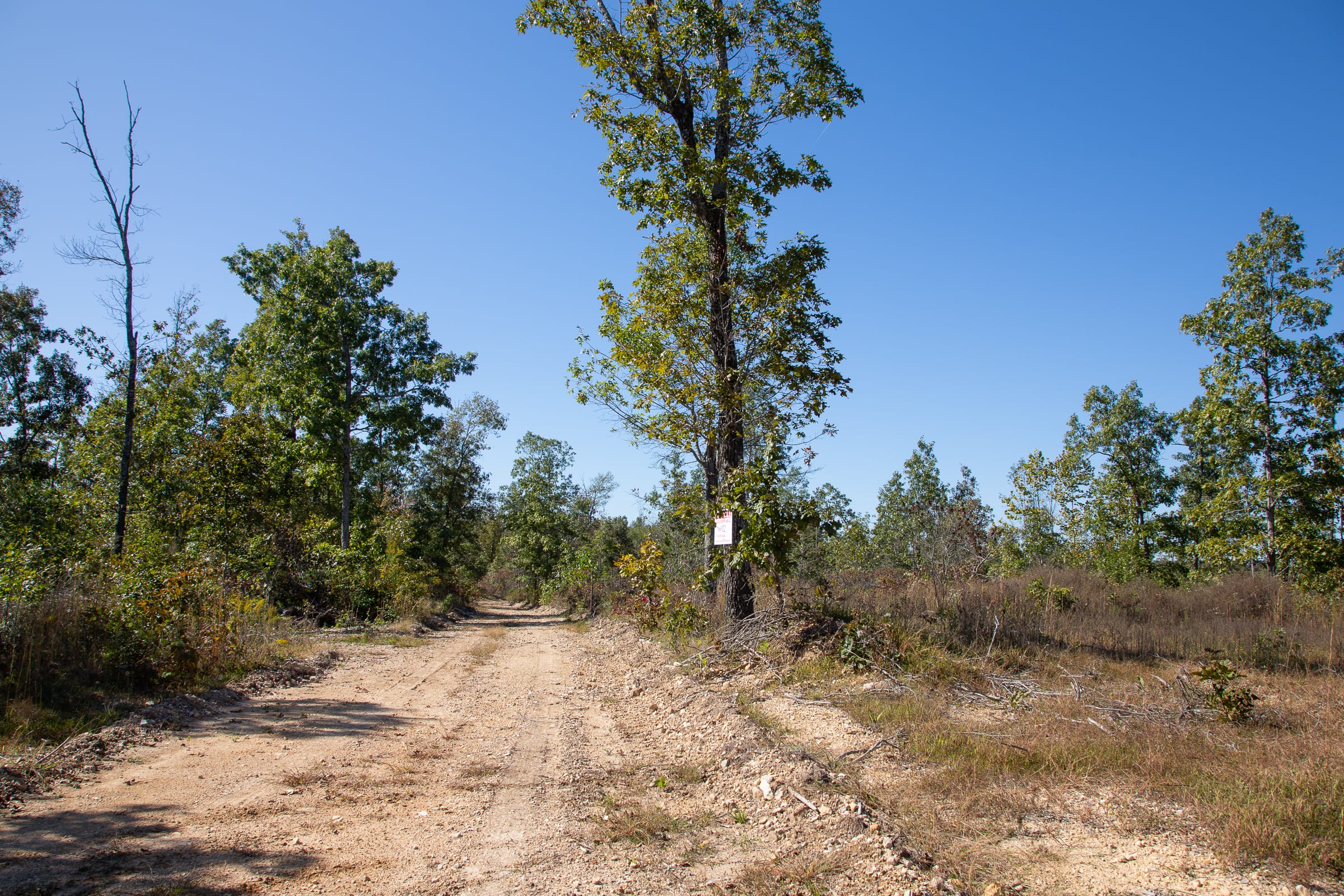 Borgmann’s Hollow Phase III Tract 102 photo 2