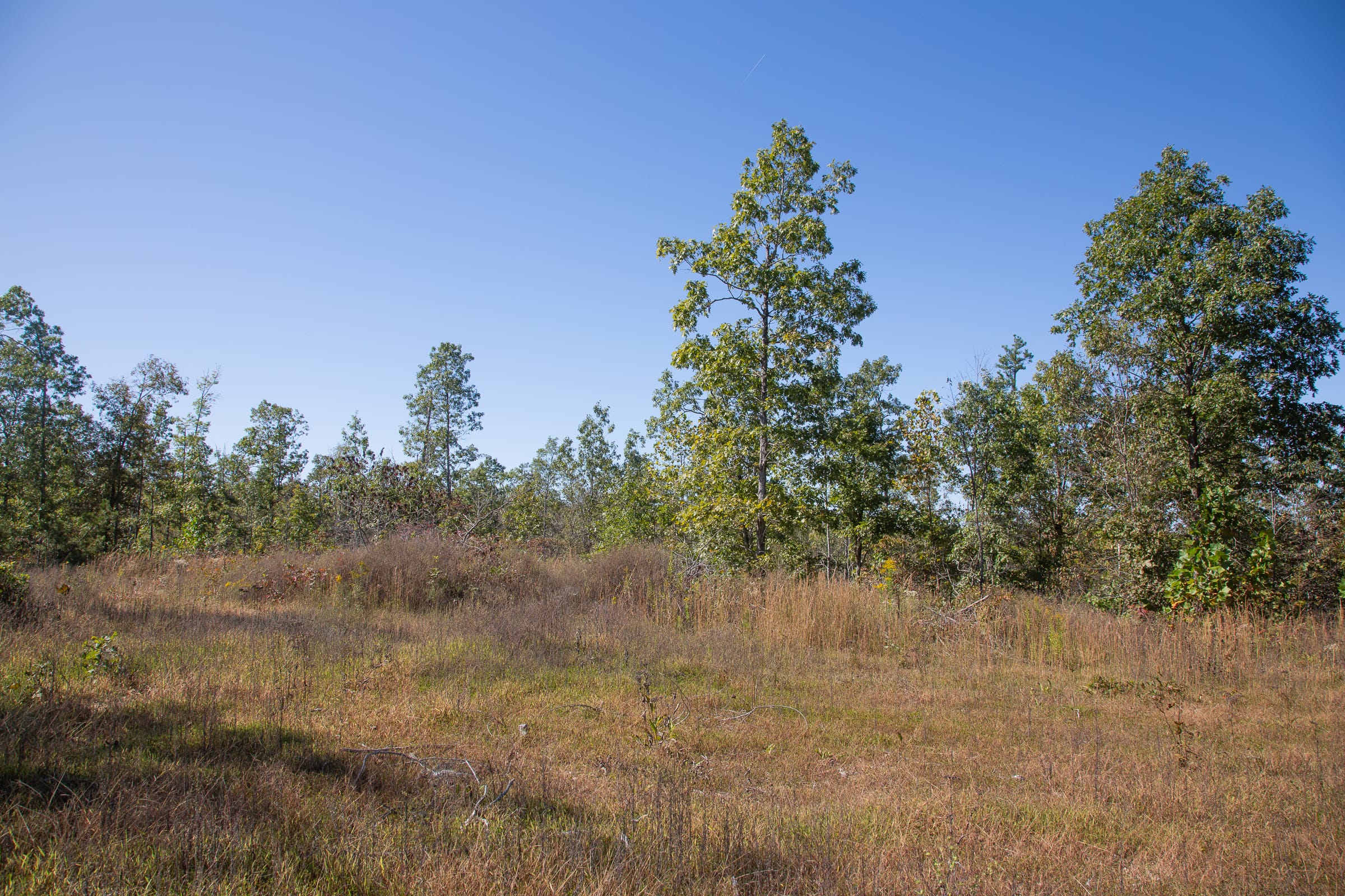 Borgmann’s Hollow Phase III Tract 102 photo 4