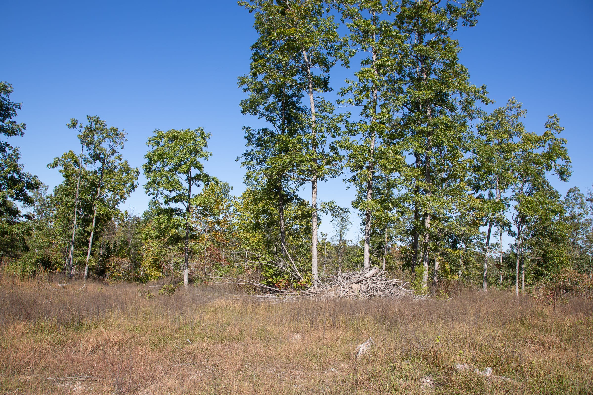 Borgmann’s Hollow Phase III Tract 102 photo 5