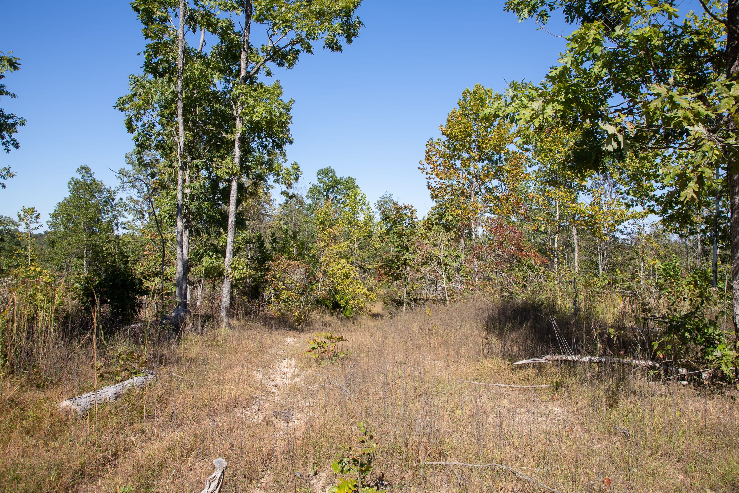 Borgmann’s Hollow Phase III Tract 102 photo 7