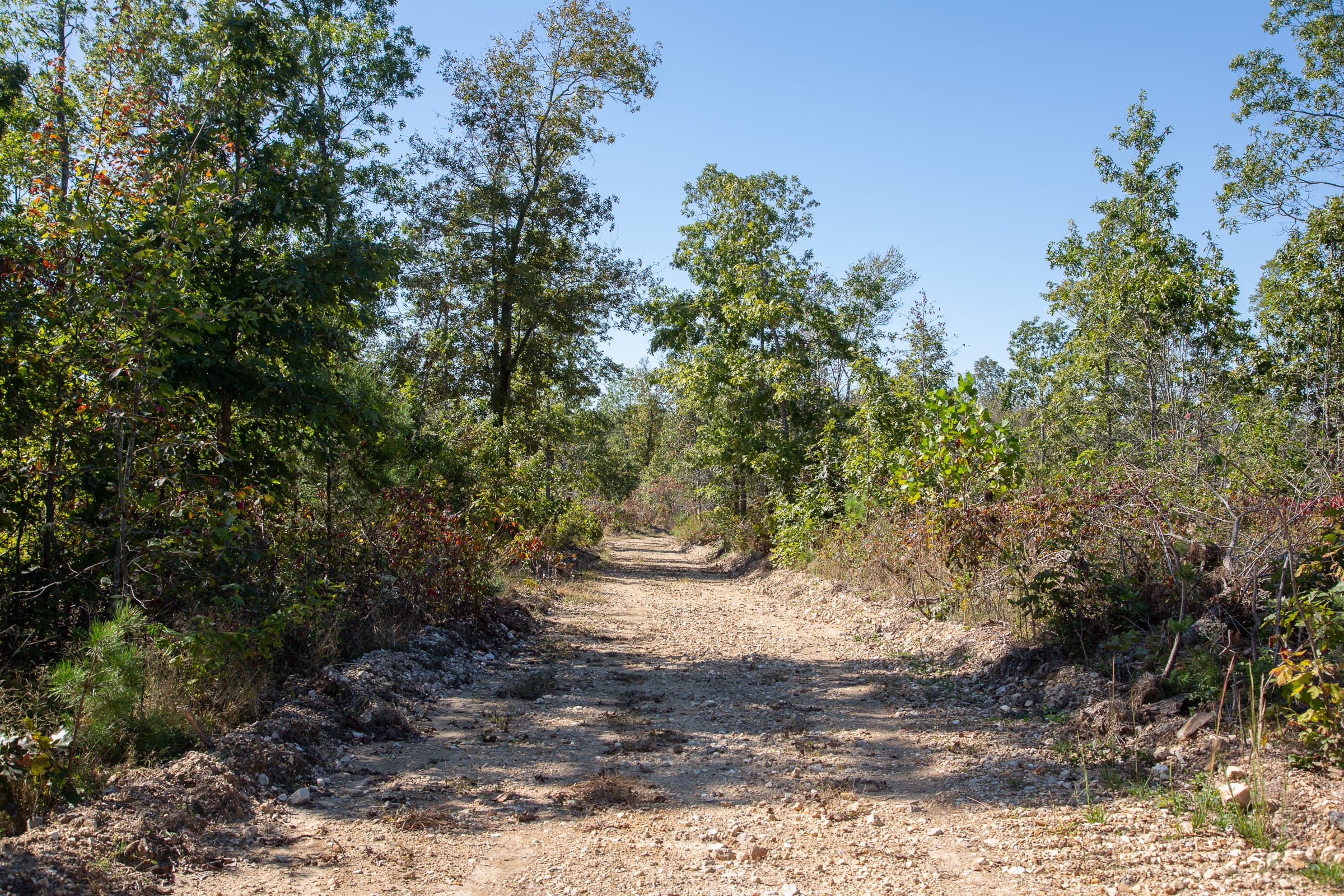 Borgmann’s Hollow Phase III Tract 102 photo 9