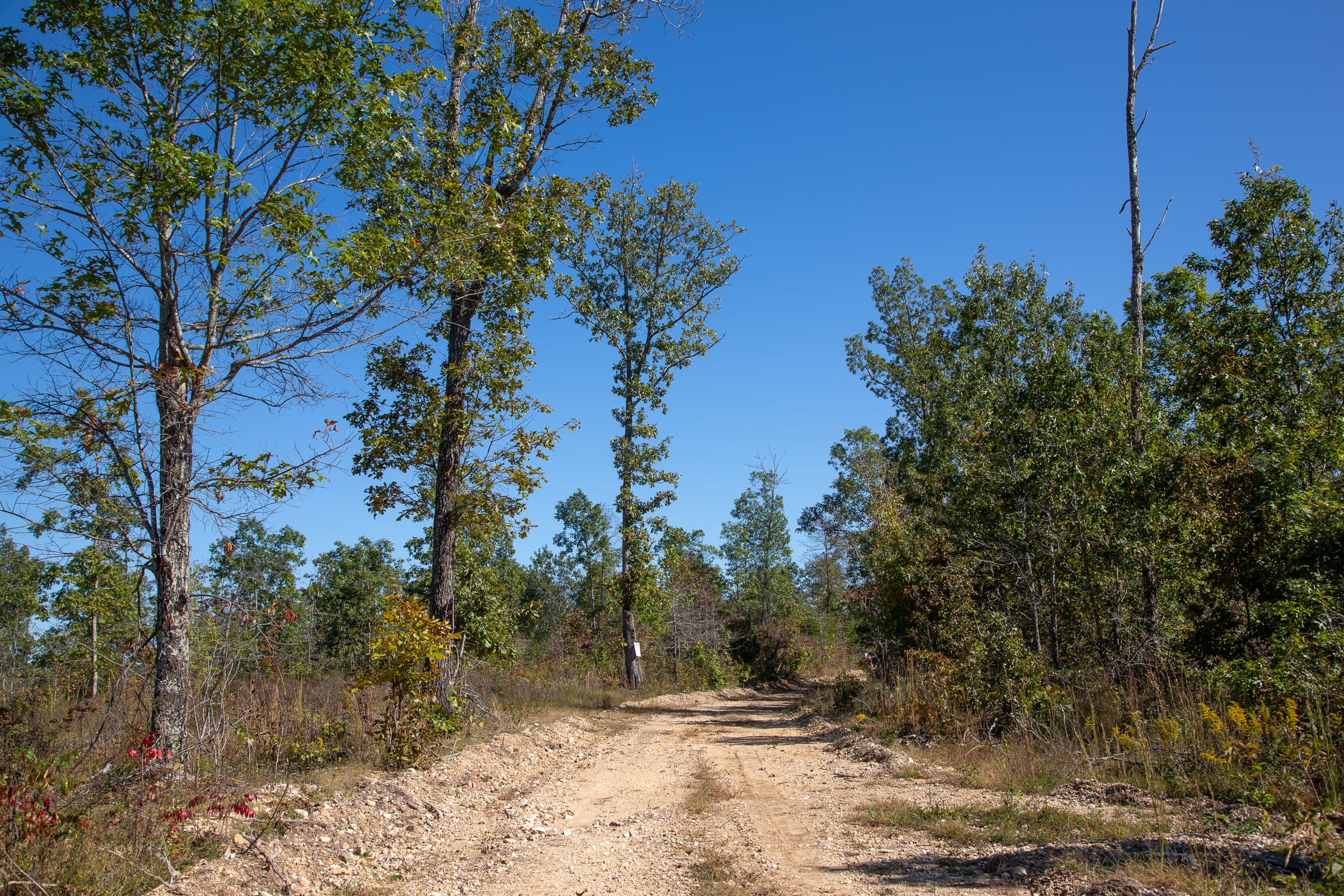 Borgmann’s Hollow Phase III Tract 102 photo 6